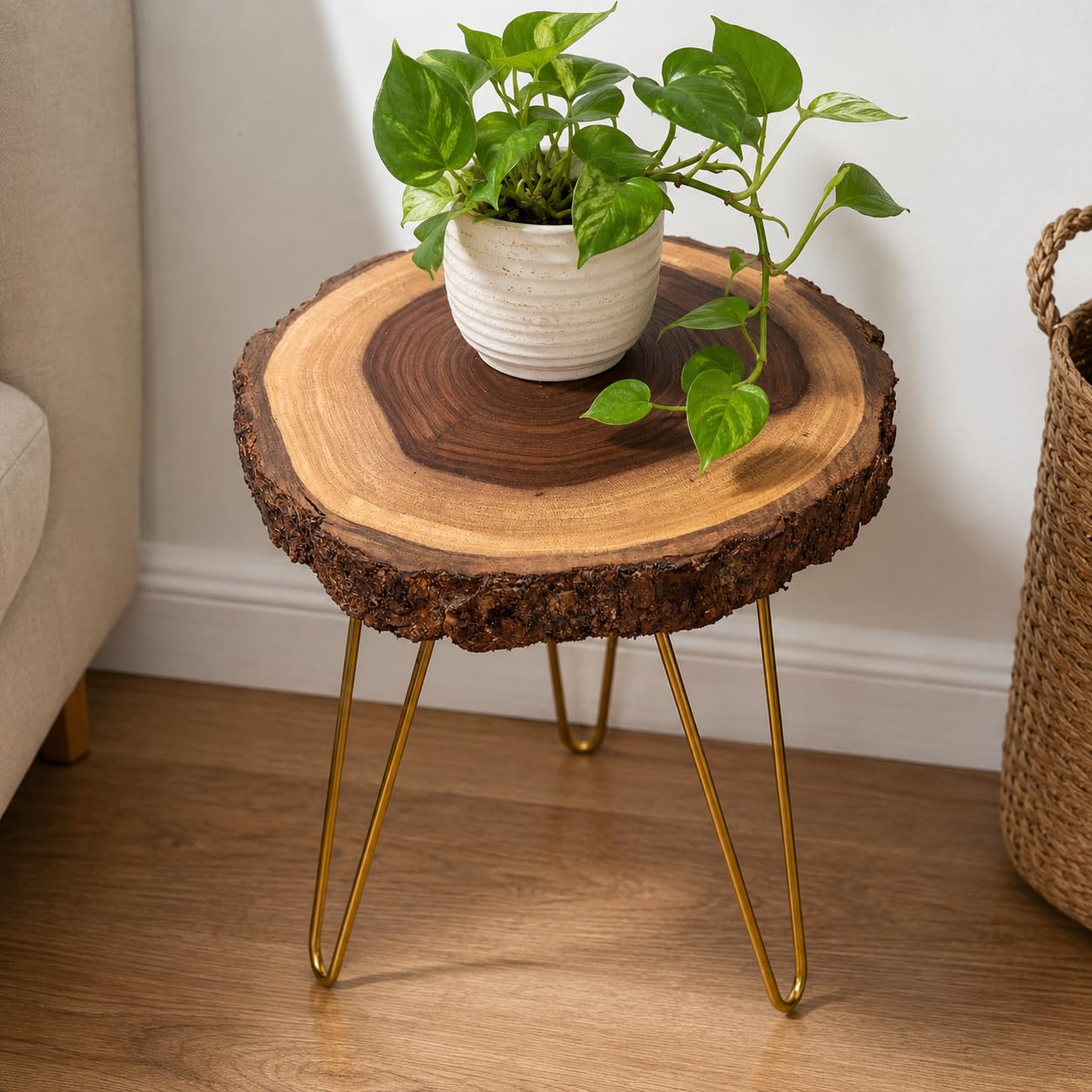 Unique home Antique Tree Slice End Table | Side Table | Small Coffee Table Plant Stand for Home Decoration | Foldable Wooden Legs | 11'' x 12'' | Sheesham Wood (Golden Metal Legs)-image-40