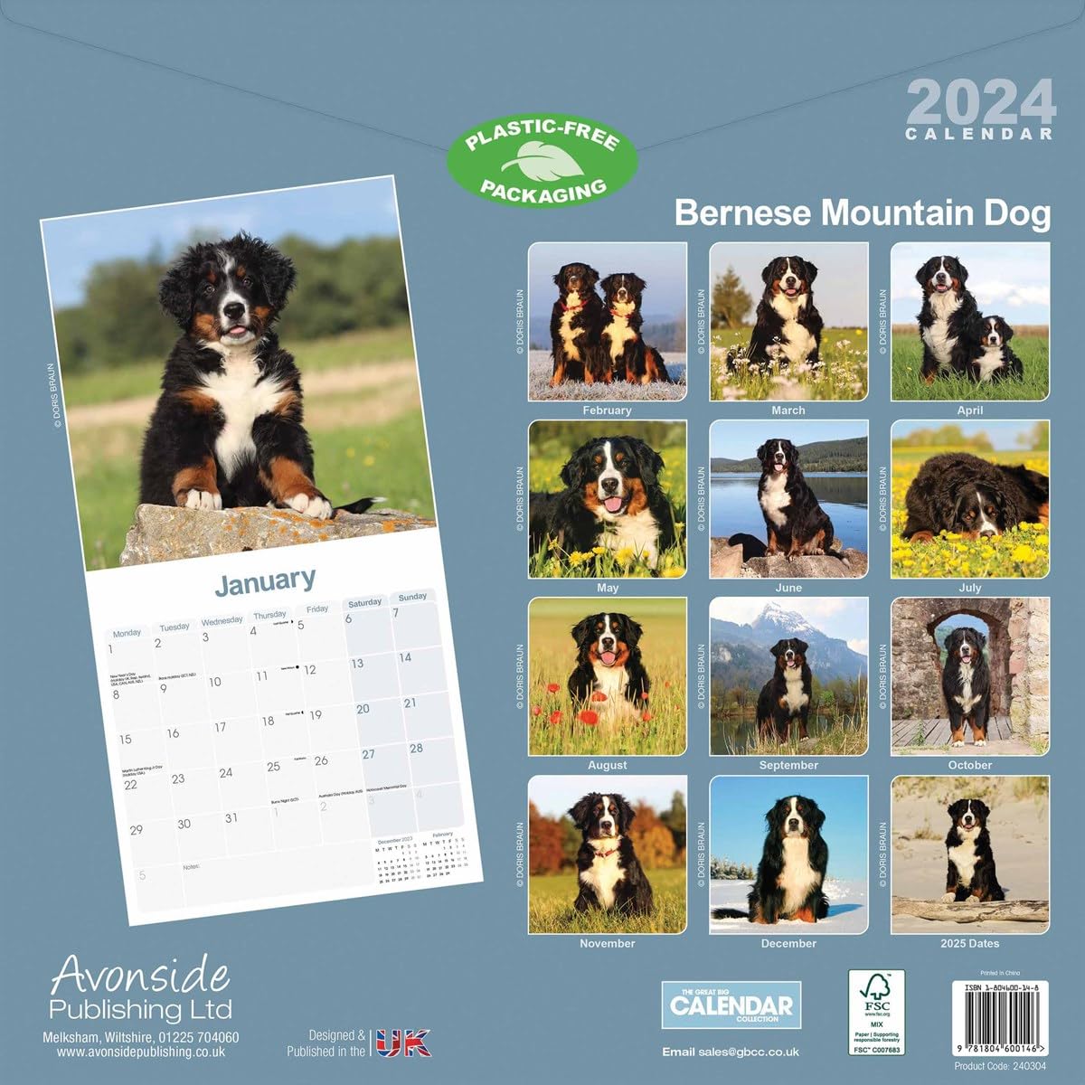 Bernese Mountain Dog Calendar 2024 - Image 4