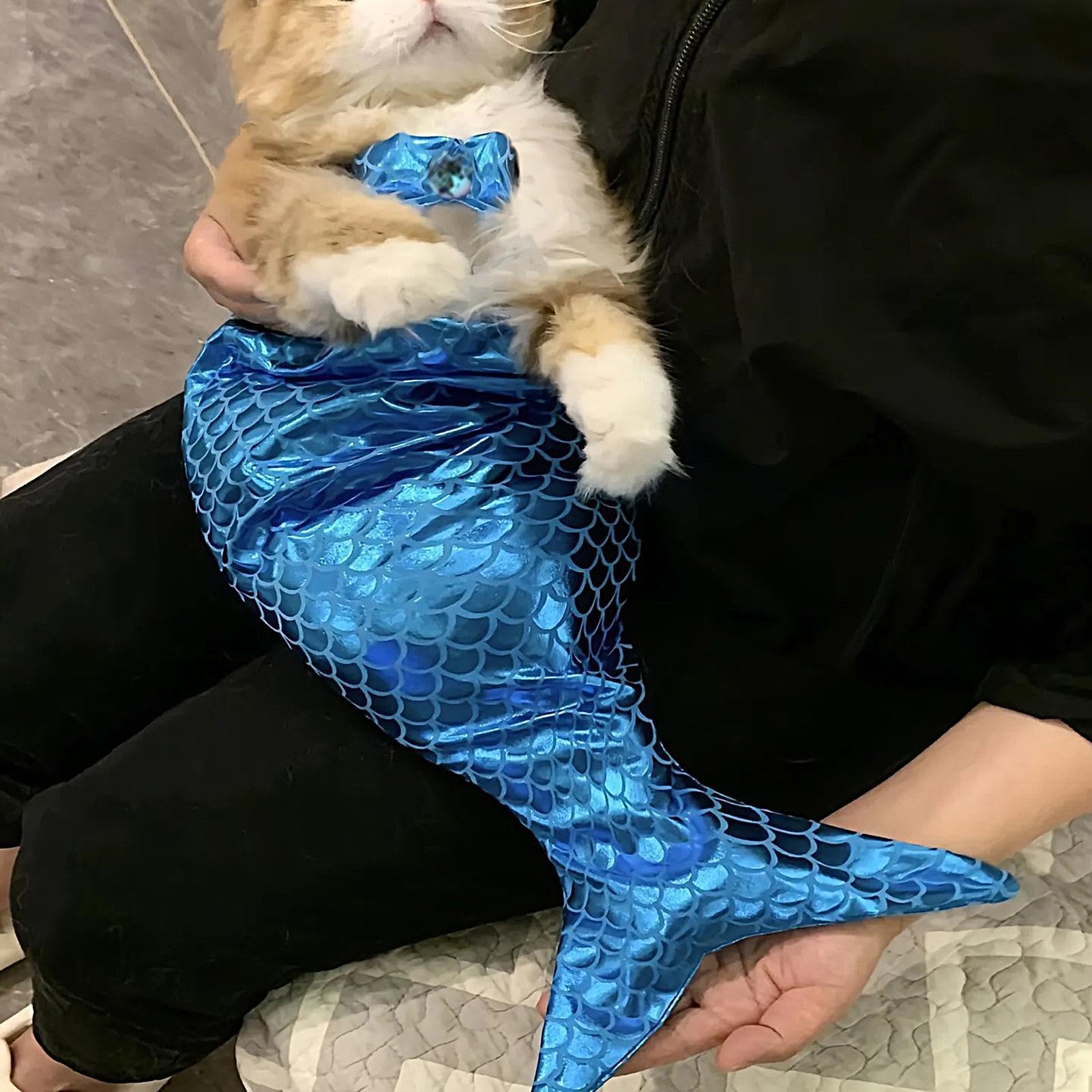 Amazon | 犬用マーメイドコスチューム、面白い猫マーメイド服子犬や猫