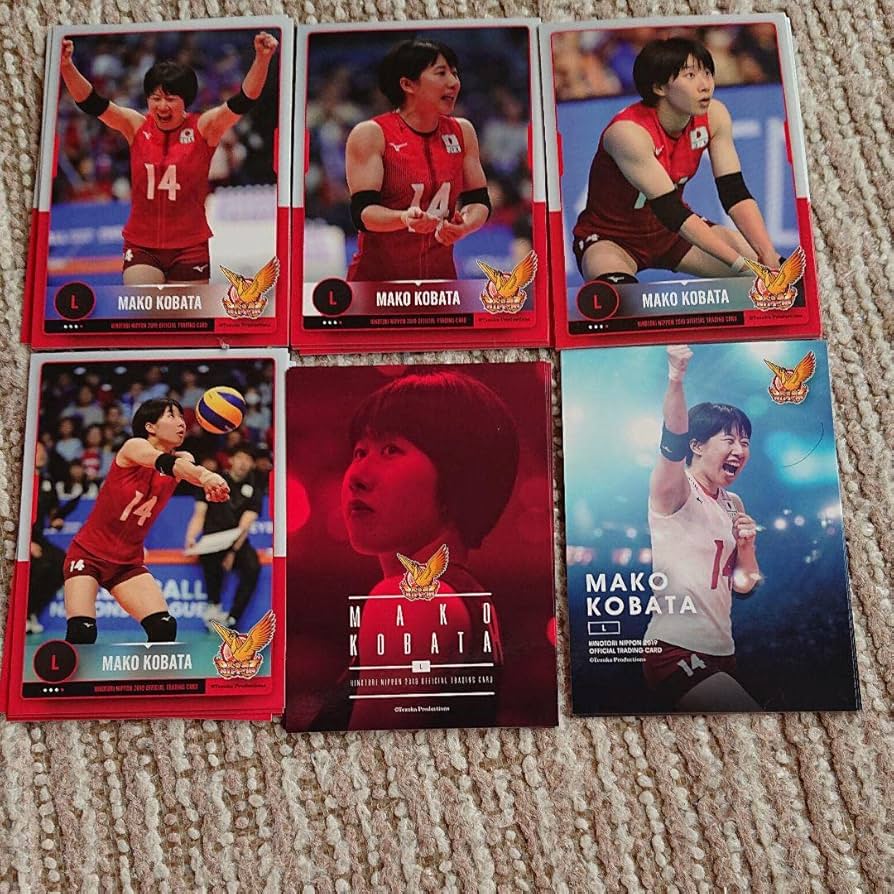 火の鳥NIPPON トレーディングカード 86枚 ＋ バインダー 火の鳥NIPPON トレーディングカード 86枚 ＋ バインダー