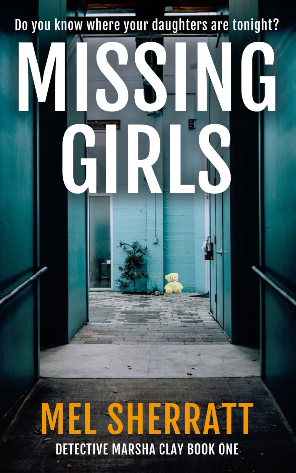 Missing Girls: A Staffordshire Moorlands Mystery