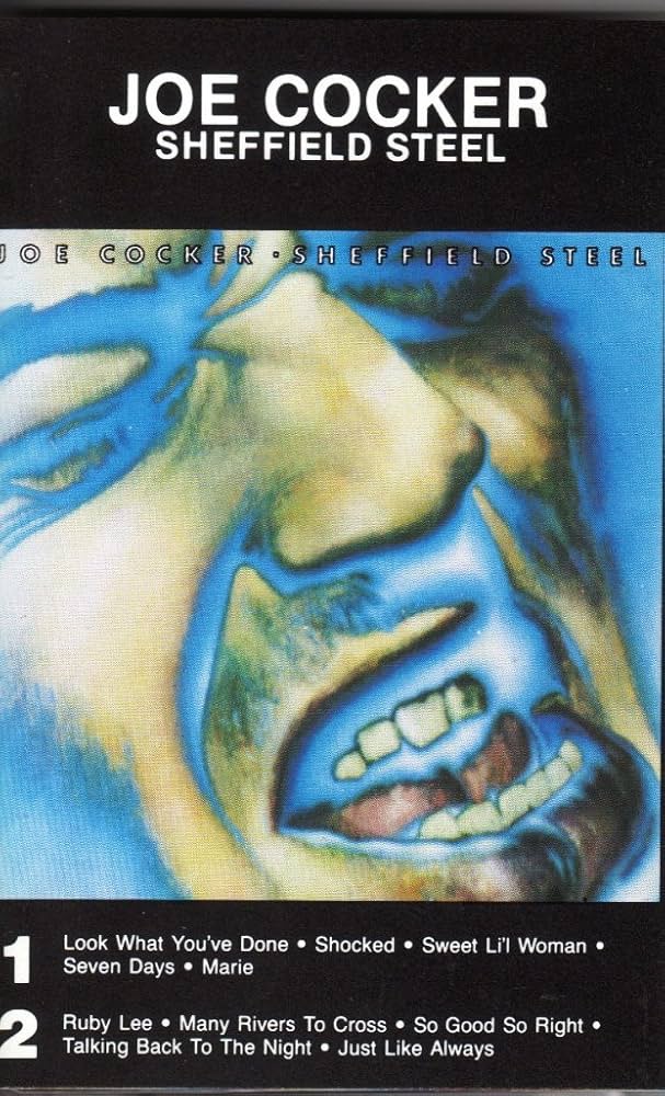 【DVD】Made In Sheffield　エレクトロポップ　ドキュメンタリー DVD】Made In Sheffield エレクトロポップ ドキュメンタリー