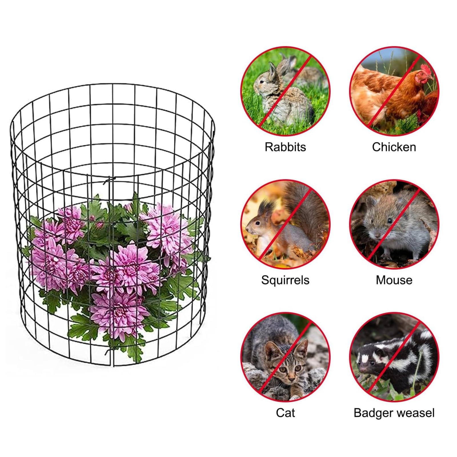 10 Pezzi Gabbie Protettive Per Piante In Metallo - Recinzione Da Giardino Anti-Conigli E Scoiattoli, Diametro 30 Cm (12"), H 30 Cm (12") - 5