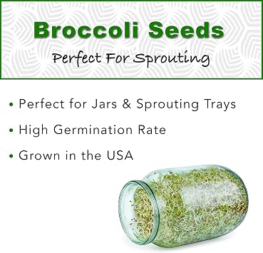 1 lb Broccoli Sprouting Seeds - Perfect for Sprouting & Microgreens, Rich in Sulforaphane, USA Grown (Resealable Bag)