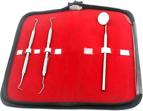 Kit de higiene dental con funda, herramienta dentista de grado profesional, juego de limpieza de acero suave para dientes blancos y encías