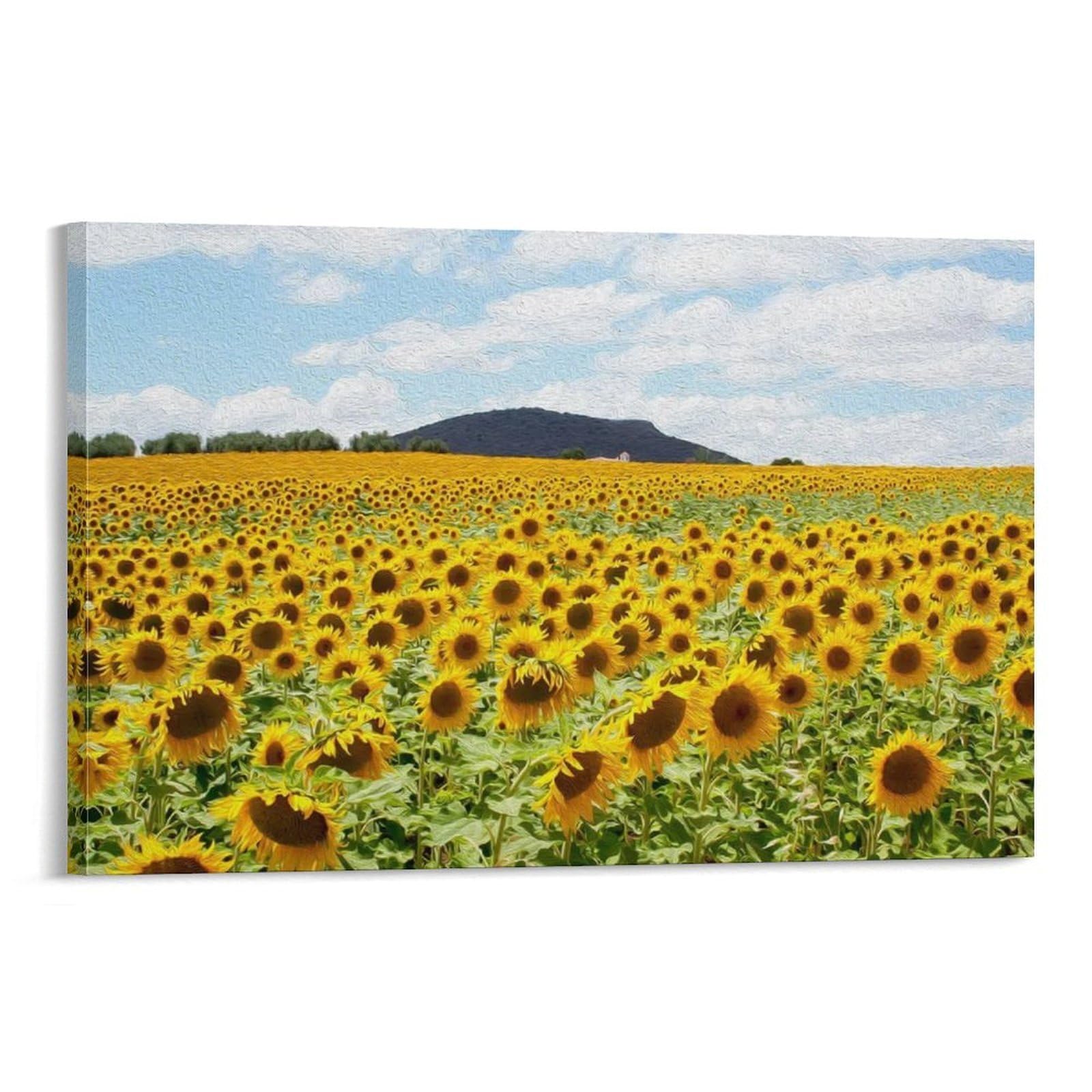 CPLVKWRQJ Sunflower Single Piece Vast Sunflower Field Landscape Framed Wall Art - Living Room Gallery Wall Focal Point Ready to Hang Decor 20x30inch(50x75cm)