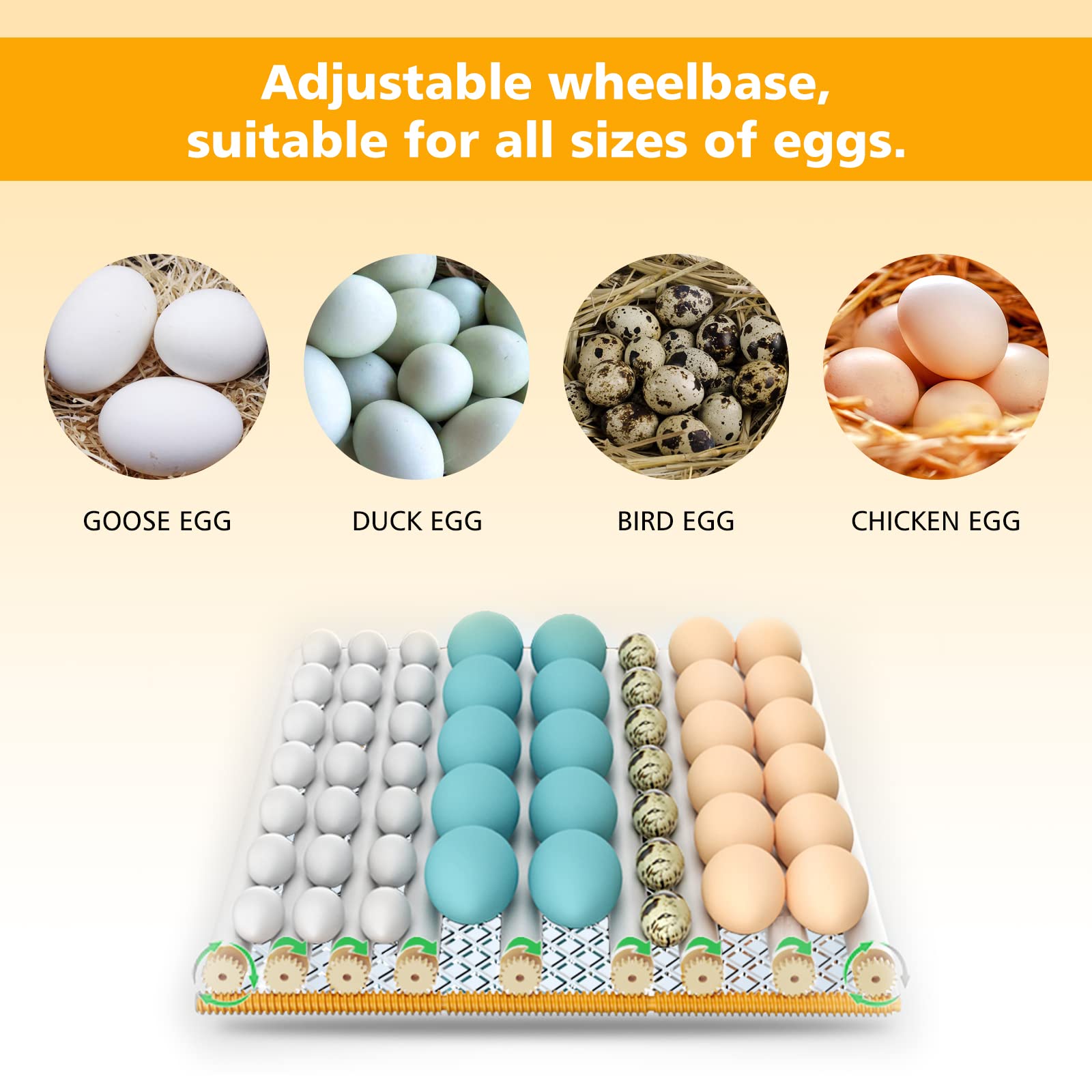 Buy Incubators for Hatching Eggs 16 Egg Incubator with Automatic