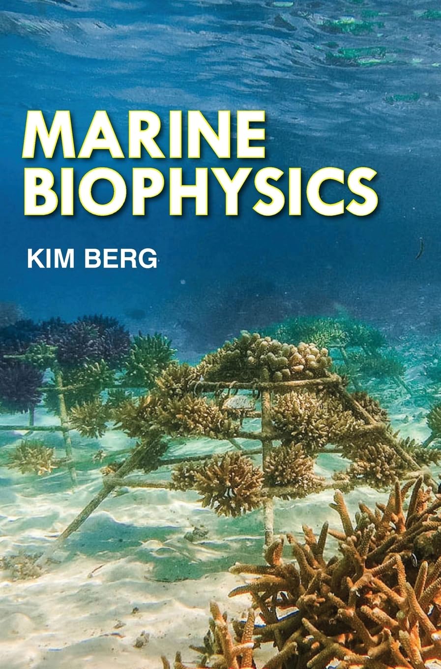 Marine Biophysics