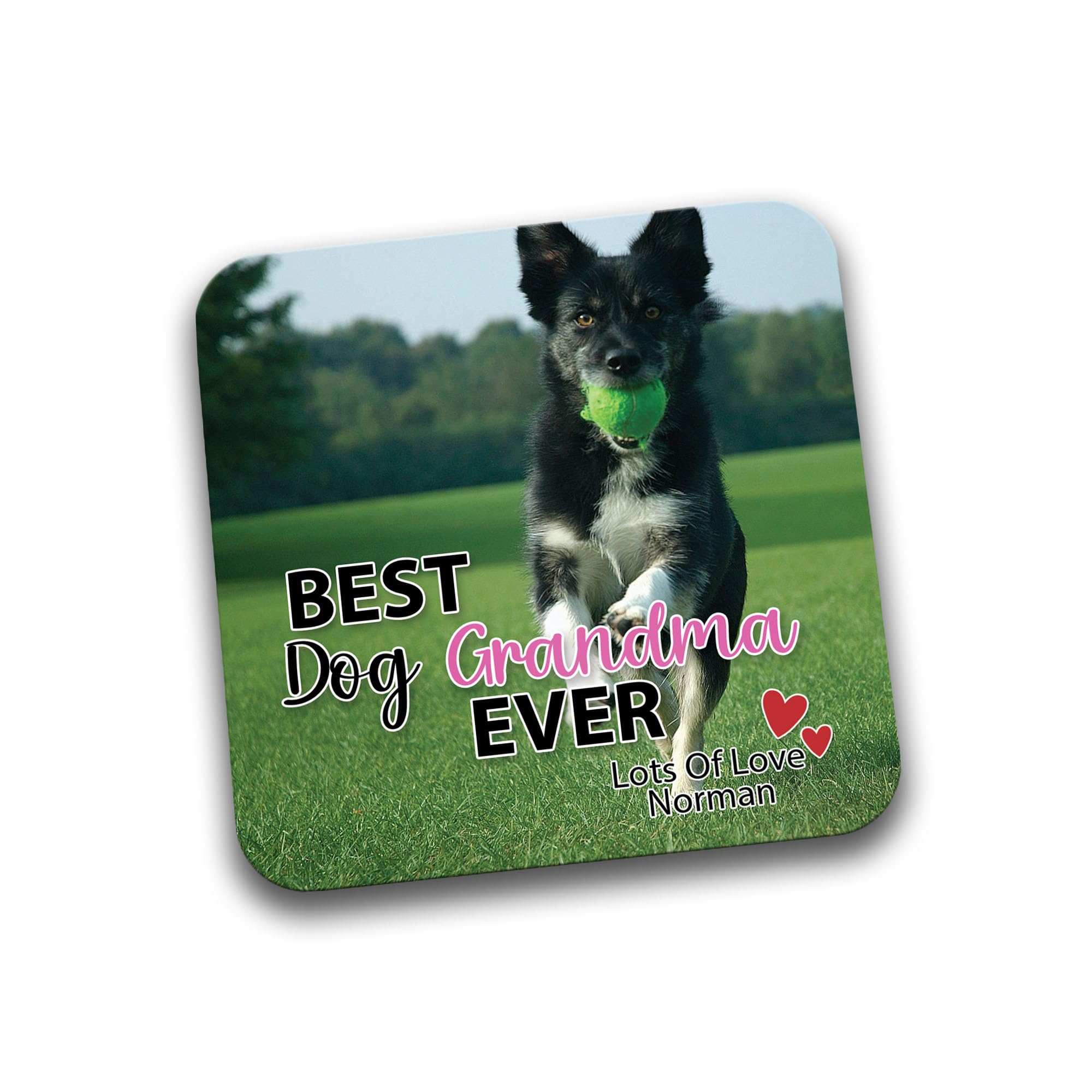 Rib Ticklerz Multicolour - Personalised Photo Coaster From The Dog - Best Dog Grandma Ever - Custom Gifts Dog Grandma Present - Birthday - Xmas - Dc81