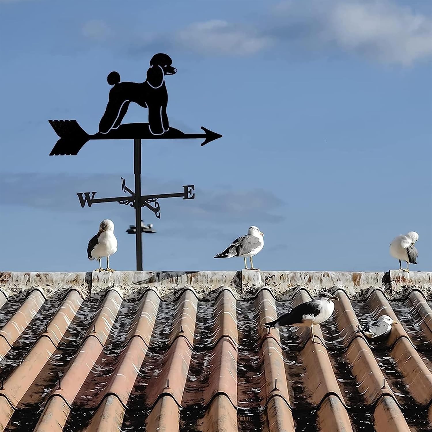 Weathervane Weather Vane Outdoor Metal Bracket Weather Vane Garden Courtyard Decoration Wind Vane