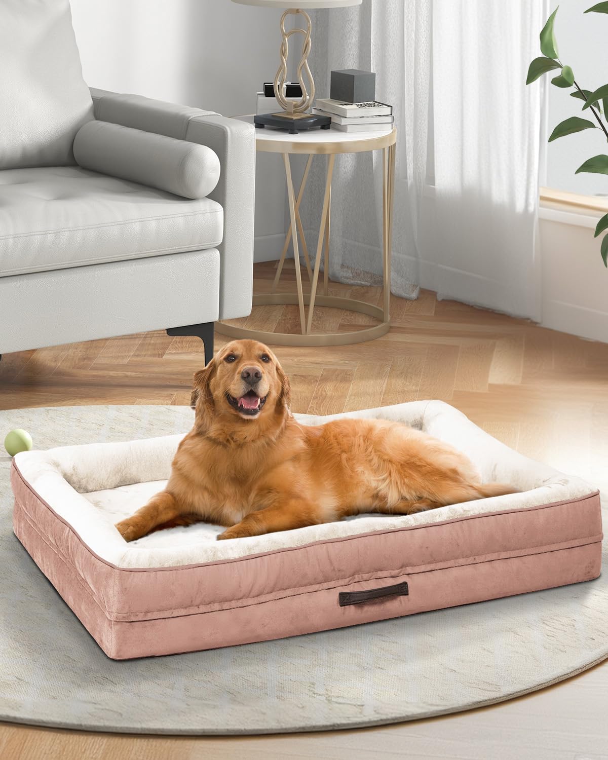 Upvilla Orthopädisches Hundebett mittelgroße Hunde, Hundekorb Waschbar mit Eierförmiger Kistenschaum，Wasserdicht Hundesofa mit rutschfeste Unterseite und Vierseitiges Kissen
