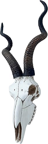 Miniatura 5 de Top Brass Calavera de antílope Kudu africano de 14 12 pulgadas, cabeza de montaje en pared, decoración rústica de safari