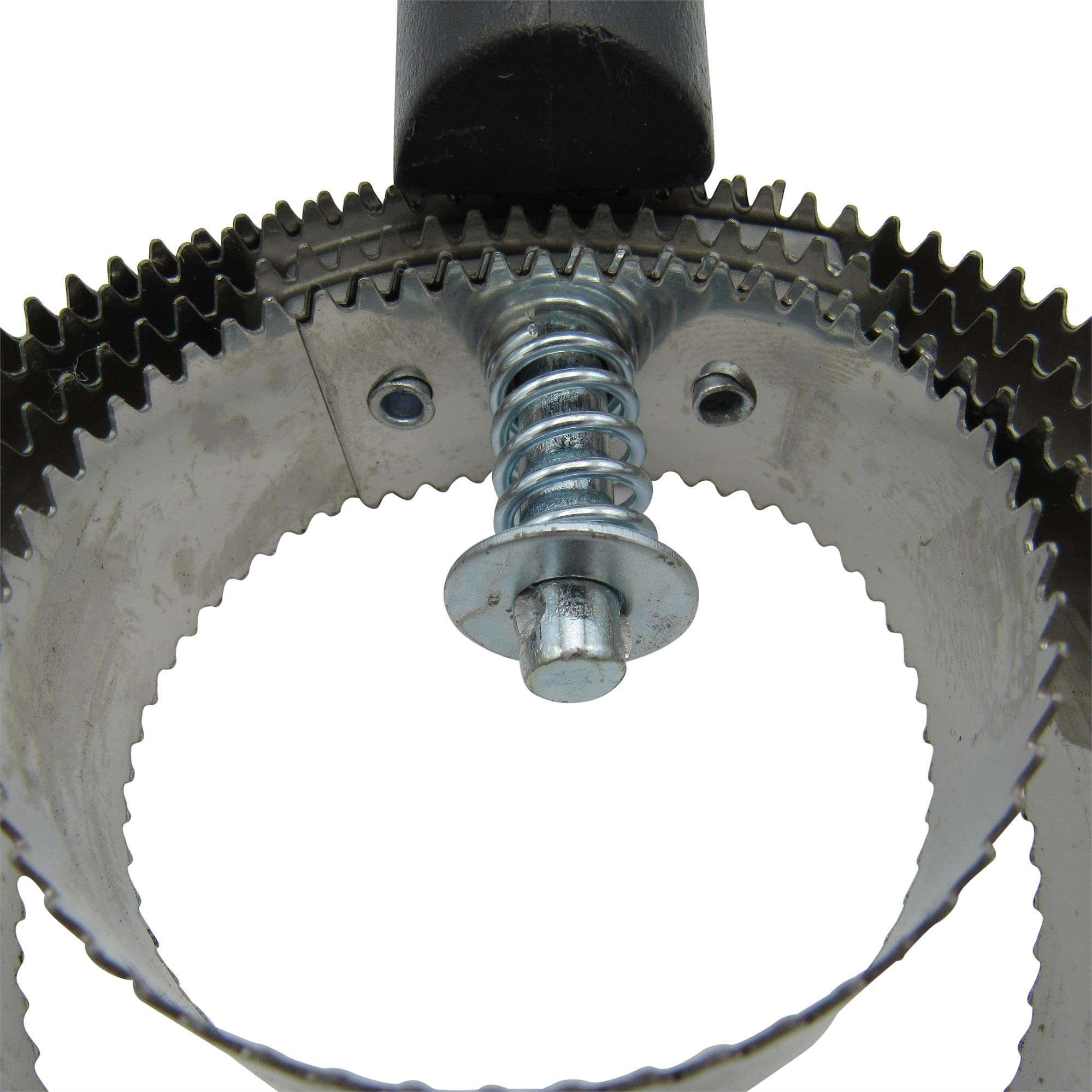 View 5