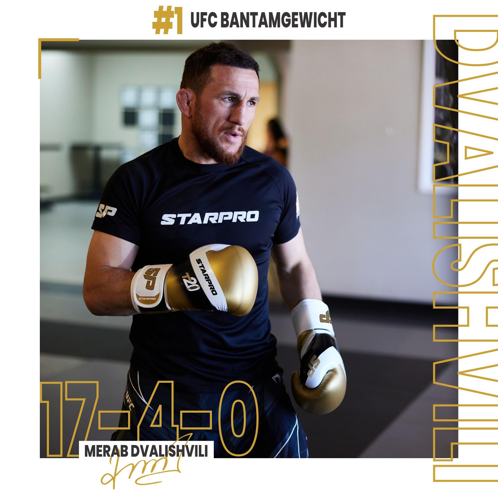 Starpro Boxhandschuhe – Trainingshandschuhe mit Handgelenkstütze – Kickboxen Muay Thai – Männer & Frauen – 10oz, 12 oz, 14 oz, 16 oz