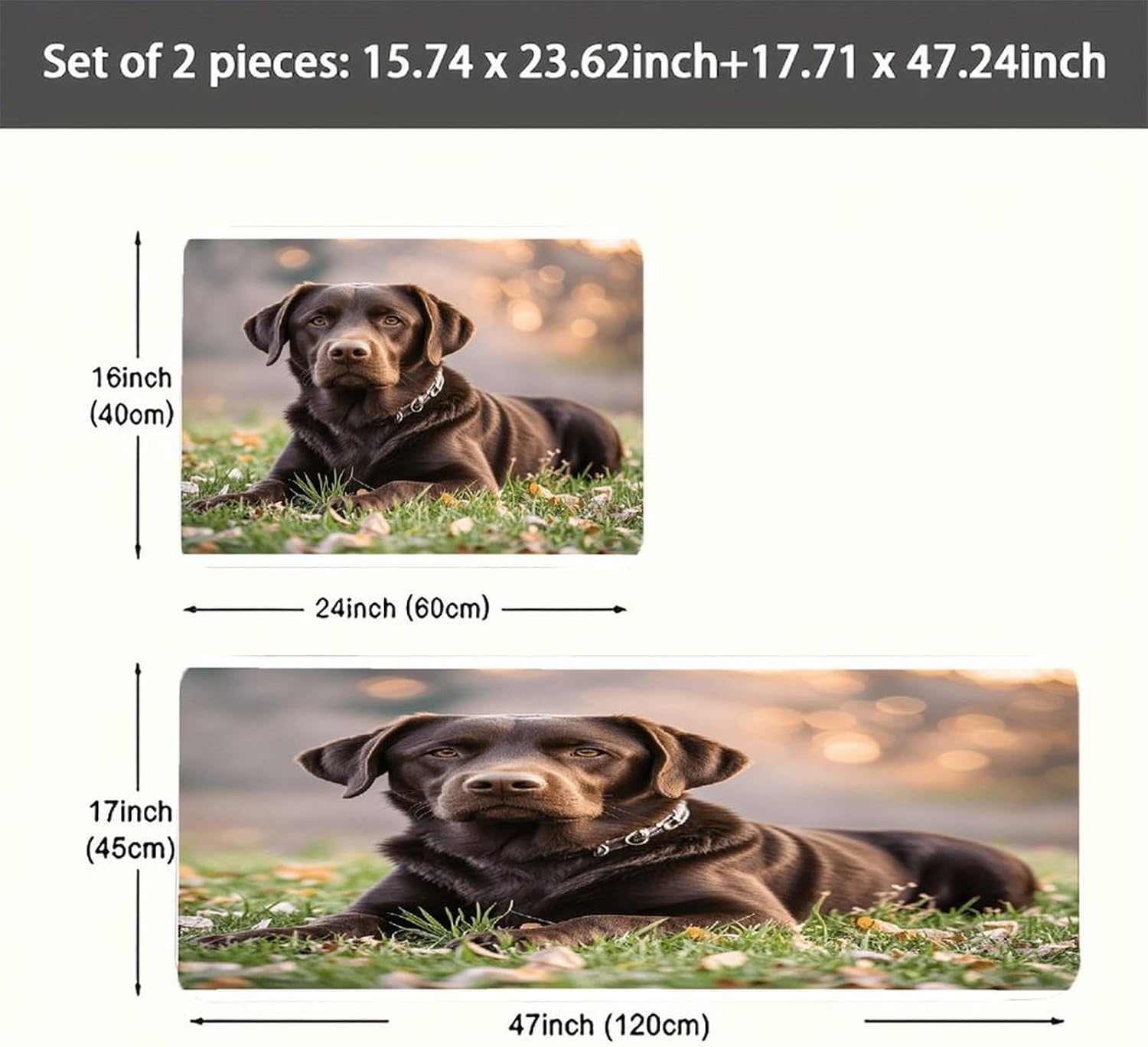 Brown Labrador Retriever Kitchen Mat Kitchen Rug Set | Kitchen Rugs Flannel Velvety Washable breathable Water Absorbent Soft ，kitchen utensils for Kitchen, Floor,Laundry
