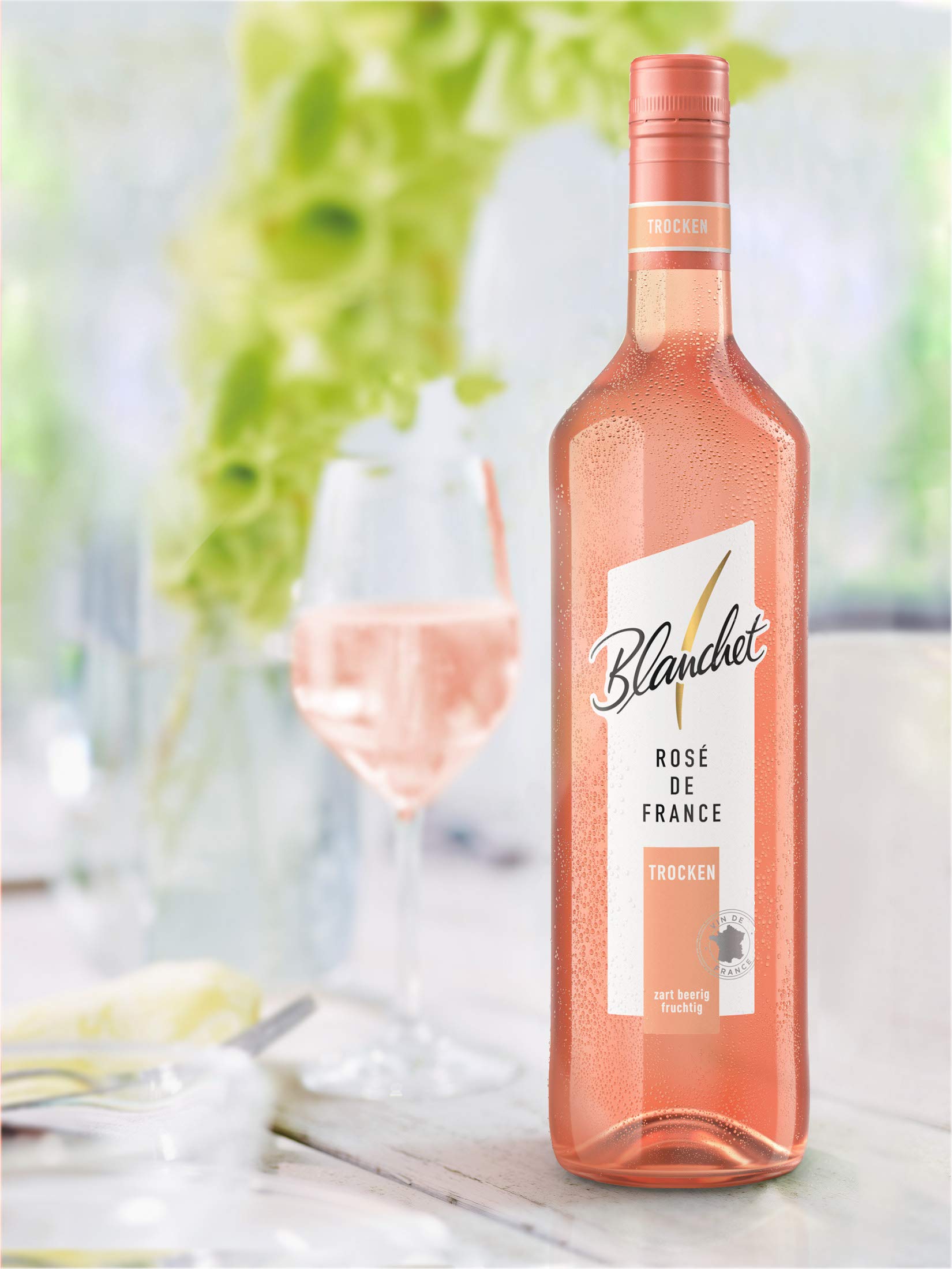 Blanchet Rosé de France Roséwein Trocken (6 x 0,75l)