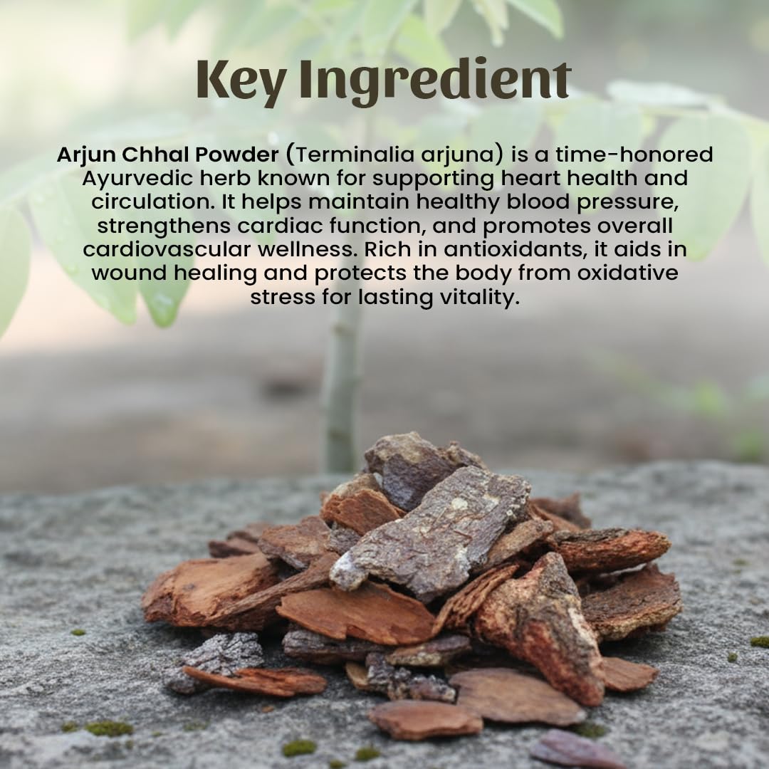 Arjun Chhal | Arjuna Chaal | Terminalia Arjuna Powder - 300 GM