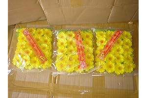 Made in Vietnam Plastic Artificial Yellow Apricot Flower (HOA Mai) 3 Bags
