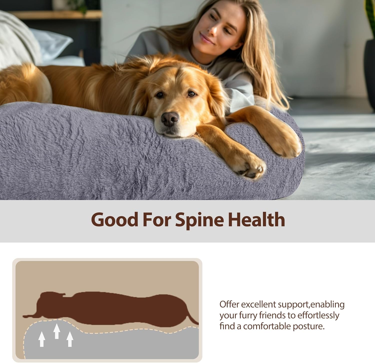 L&W BROS. Orthopedic Human Dog Bed for Large Dogs and Adults, Washable Extra Large Pet Couch with Removable Cover & Blanket, Supportive Memory Foam Lounger 71"x47" (Dark Gray)