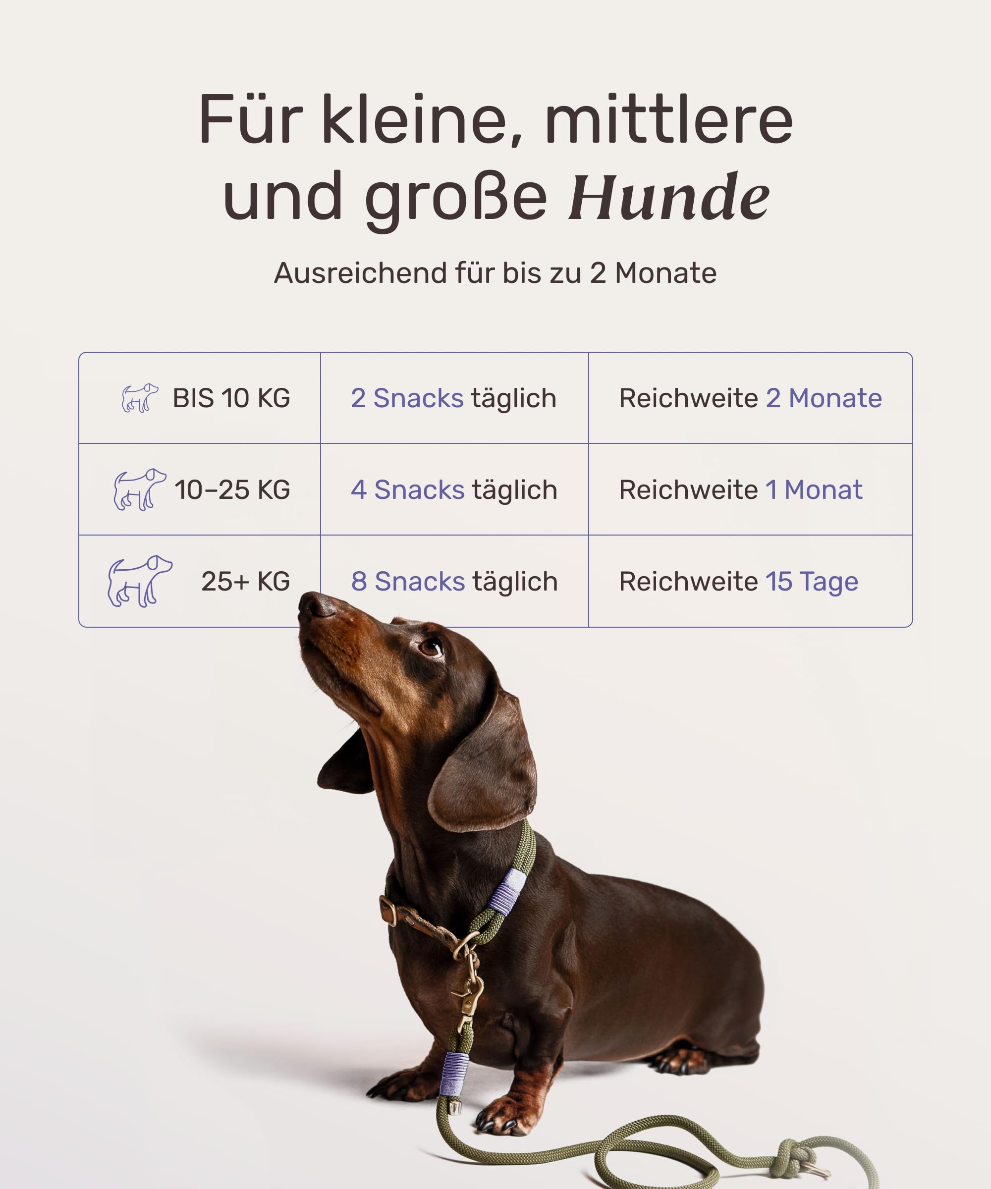 7-in-1 Hanföl-Leckerli für Hunde - Scratch Less 120 Snacks (350g) von mammaly - mit Zink, Bierhefe, PEA - kann Deinem Hund bei saisonalen & ganzjährigen Allergien und Juckreiz unterst.