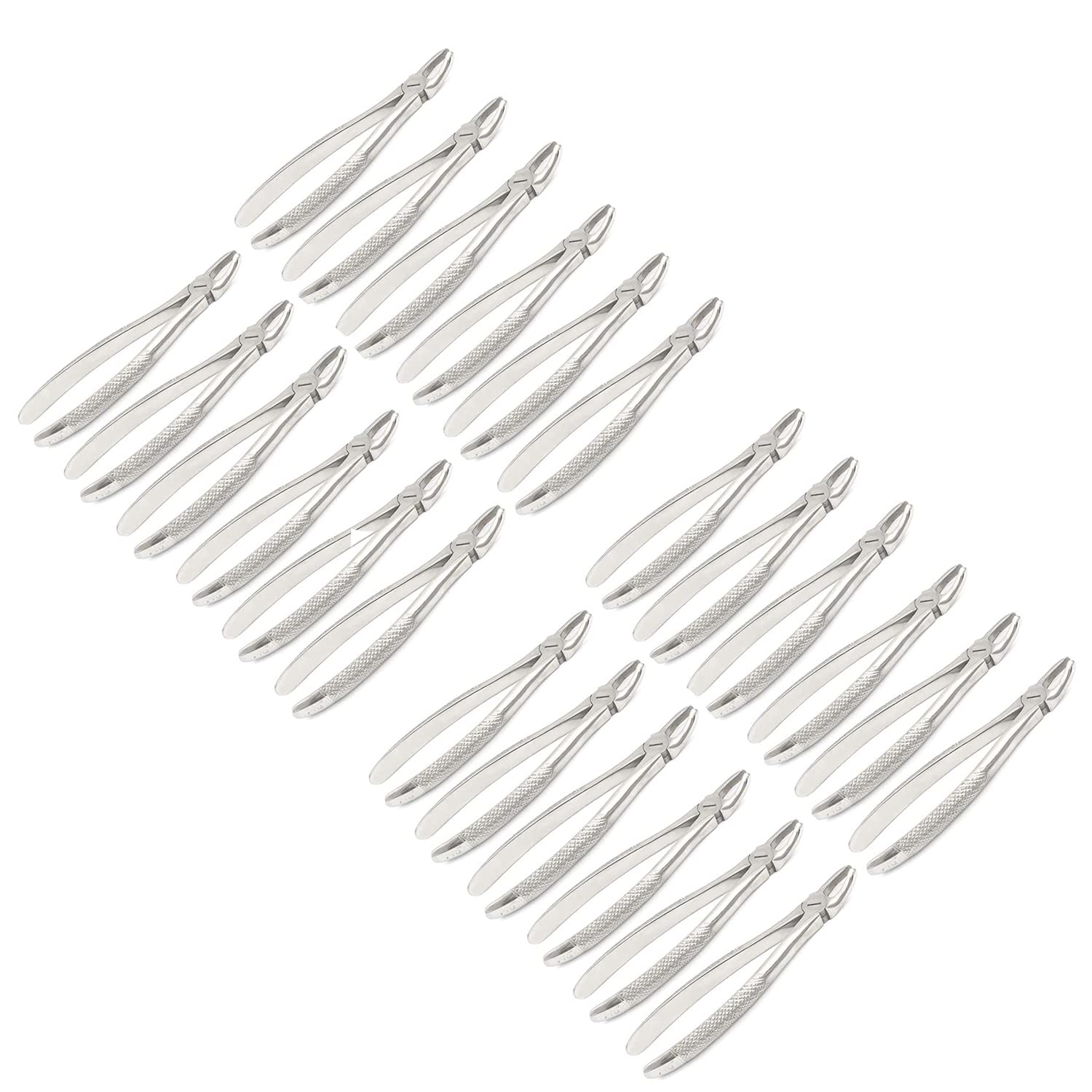 Set of 24 Dental EXTRACTING Forceps MD2 Dental Extraction Instruments A Quality