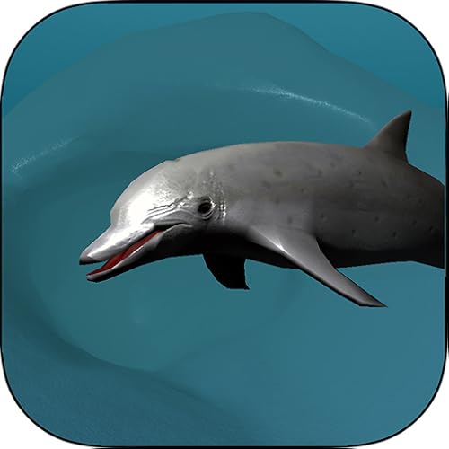 Wild Dolphin Simulator 3D - coral reef