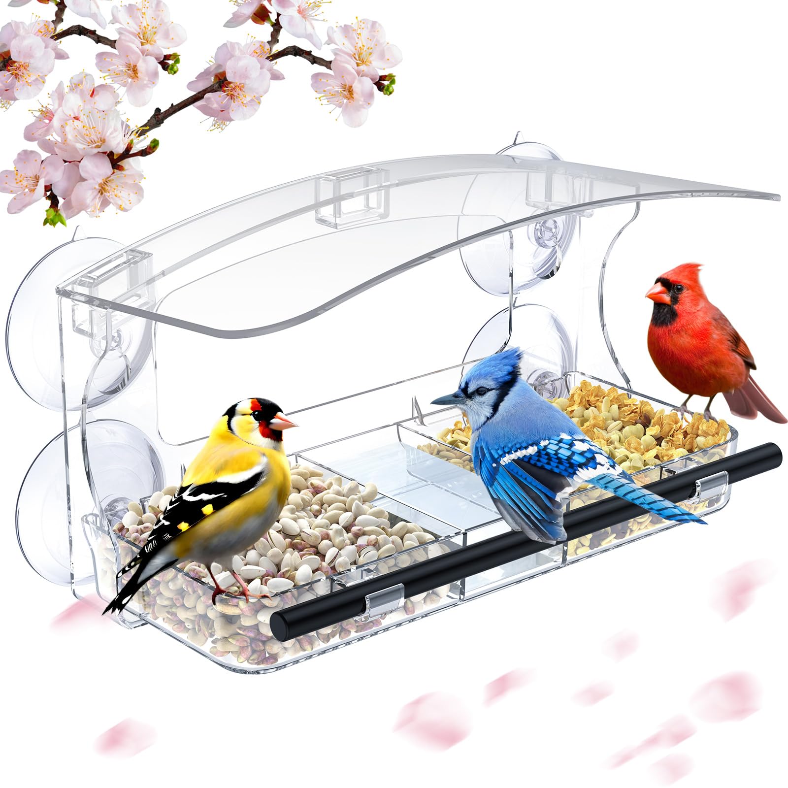 MrCrafts Comedero para Pájaros de Ventana Grande, 26x14x5.5 cm - Window Bird Feeder - Comedero Transparente para Ventana de Exterior para Aves Silvestres - Regalo Original