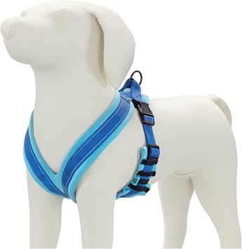 Good Scout Medium Dog Harness - Heavy Duty Padded Vest, Durable & Adjustable for Comfort & Safety, D-Ring for Quick Leash Attachment, Blue/Sky