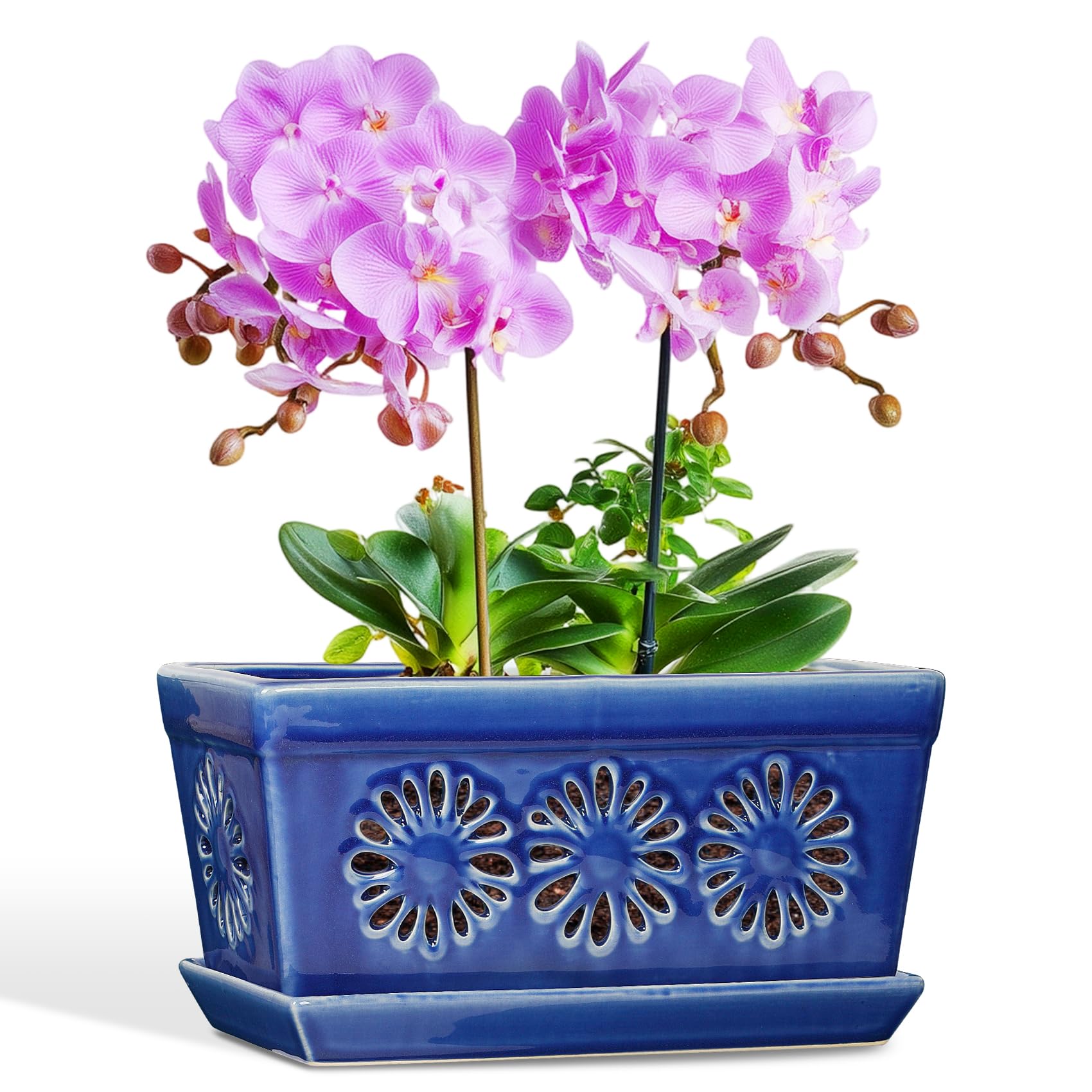 EFISPSS 25,4 cm Orchideentopf, Keramik-Orchideentöpfe mit Löchern, Indoor-Blumentöpfe mit Drainage und Untersetzer, Pflanztöpfe verbessern gute Belüftung, Blau