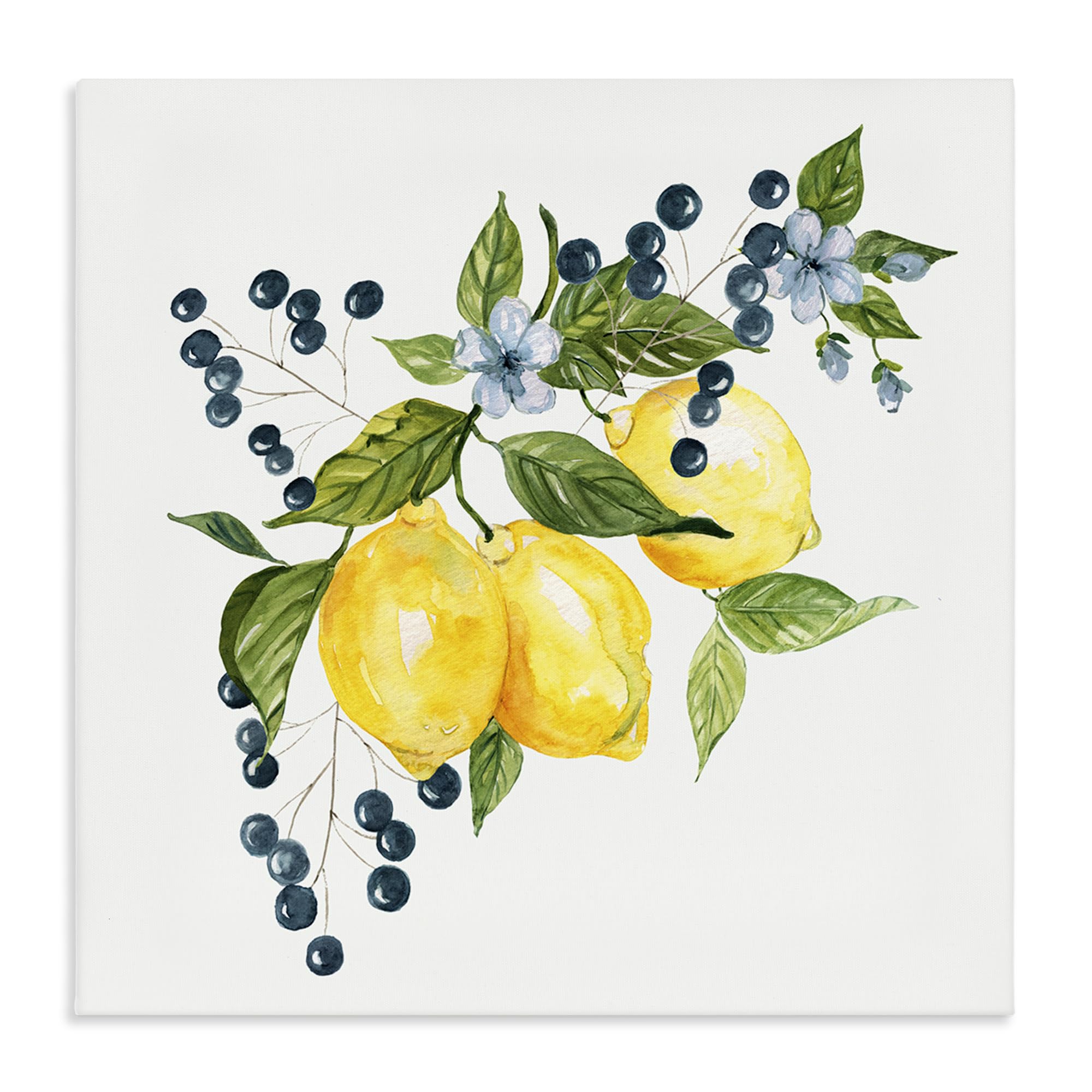 Stupell Industries Unframed Lemon Branch With Berries Kitchen, 17 X 17 Inch Canvas Wall Art