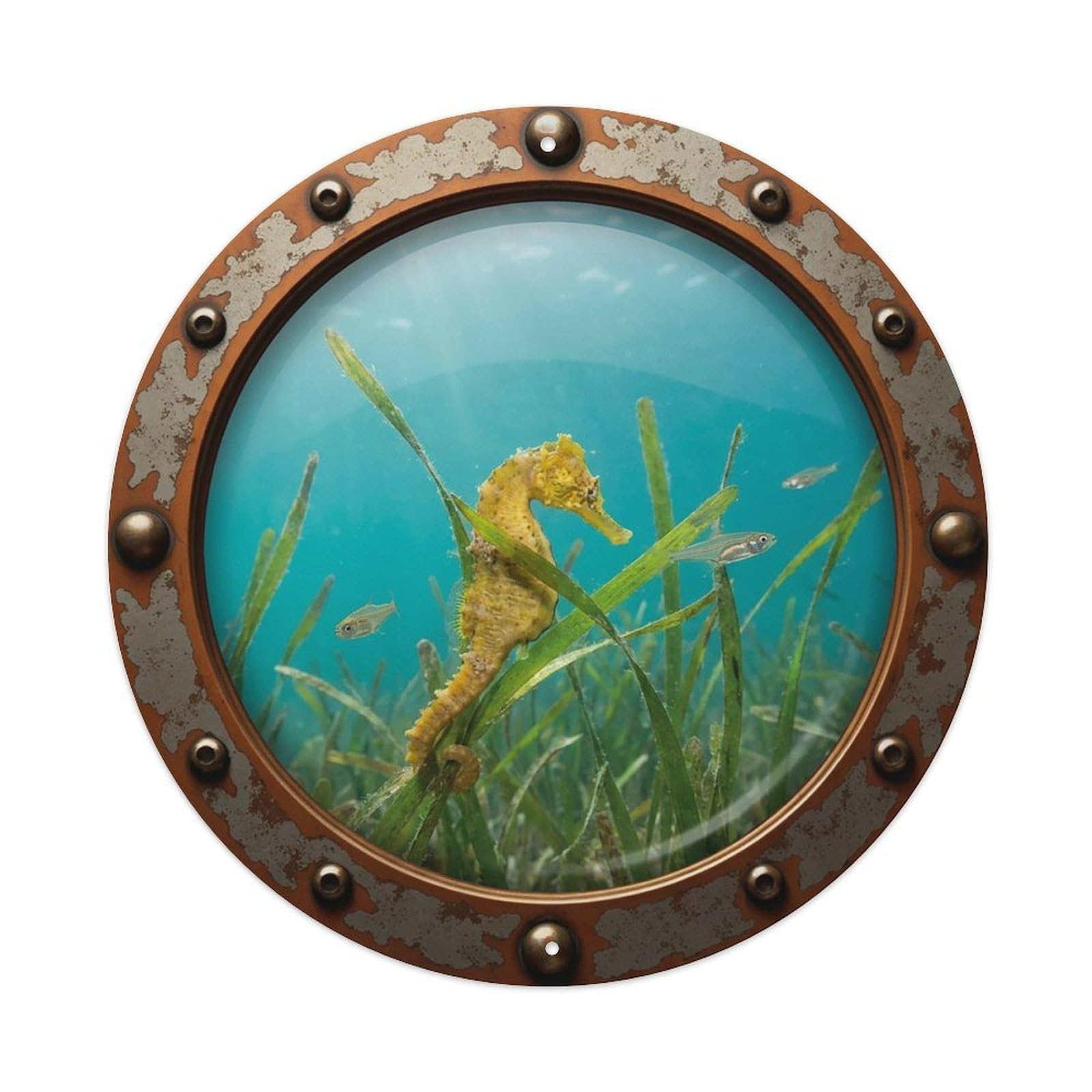 Gead 8X8inch Style Vintage Porthole Seahorse Nautical Window View Metal Tin Sign