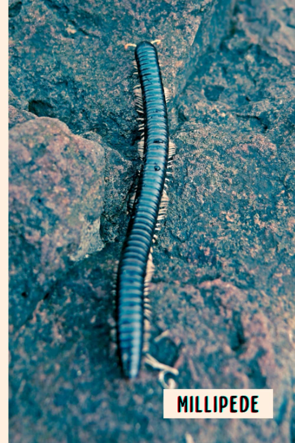 Millipede: Composition Notebook For Millipede Lovers , Millipede Lined Journal ,6x9 Inches , 110 Pages ,Millipede Diary