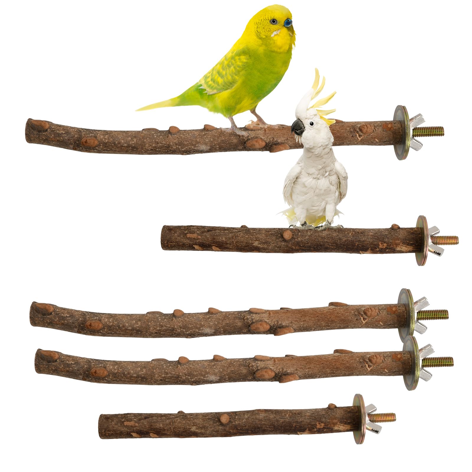 Wisebom 5Pcs Perchas Naturales para Pájaros, Perchas de Madera Natural para Pájaros, Perca de Pájaro de Madera Natural Madera para Jaulas-Ramas de Entrenamiento para Ejercicios de Pájaros Pequeños