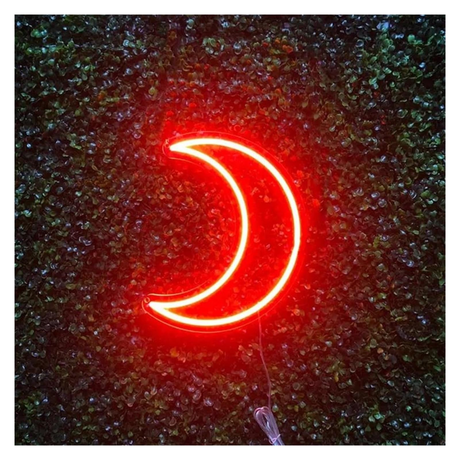 LEMST Signs Lamp Moon Neon Sign Moon USB Neon Light, Handcrafted Wall Art Bedroom Or Living Room Wall Decor 30cm(Red)