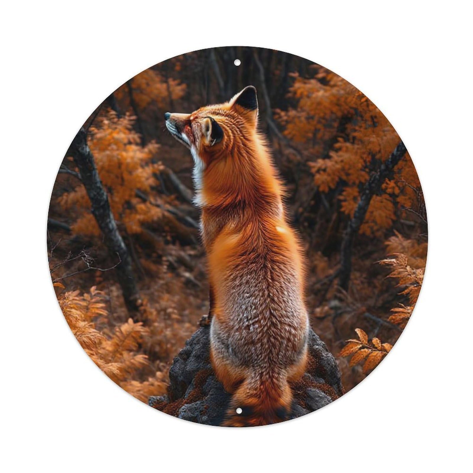Animal Red Fox in Autumn Forest Wildlife Photography Rustic Vintage Vintage Metal Tin Sign Plaque Wall Decor for Cafe, Club Bar, Office, Garden Metal Poster 8x8Inch