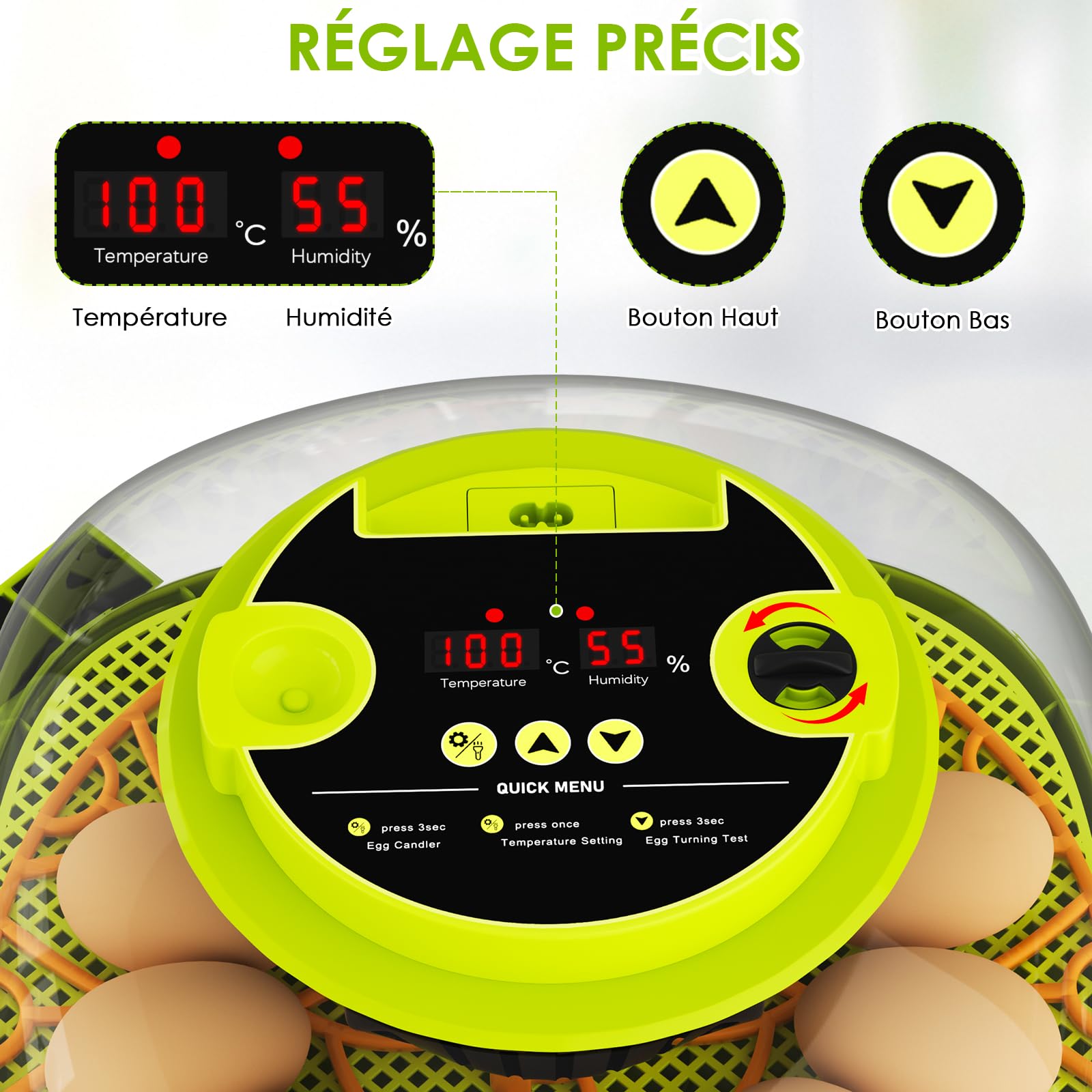 Couveuse Oeuf Automatique, Couveuse 12 Oeufs Retournement Automatique des Œufs, Contrôle de la Température et de l’Humidité Convient à l’Incubation des Œufs de Poule, Canard, Oie, Caille