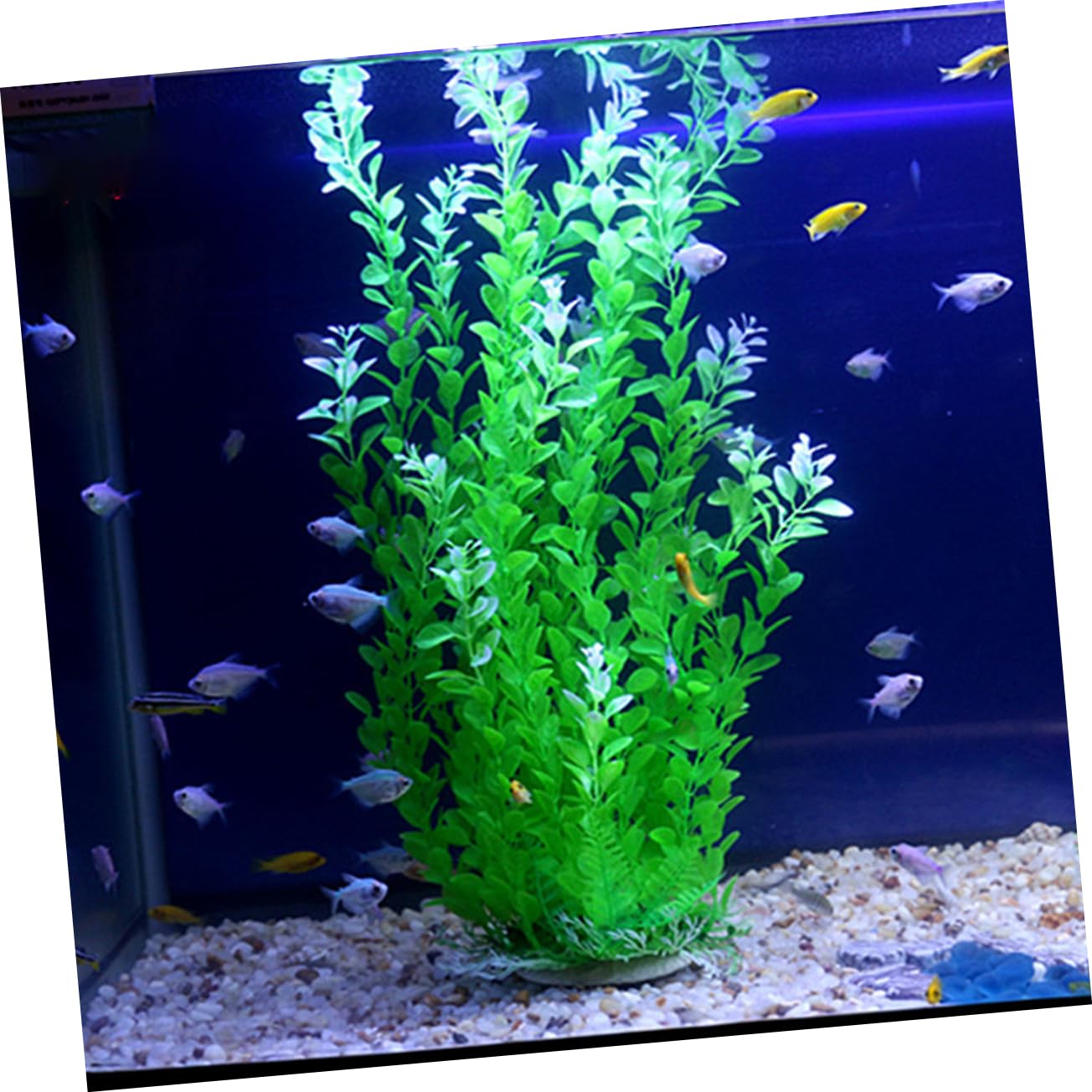 DOITOOL 3 Pièces Fausses Plantes Aquatiques Verdure Plante De Gazon Artificiel Décorer Aquarium 35c