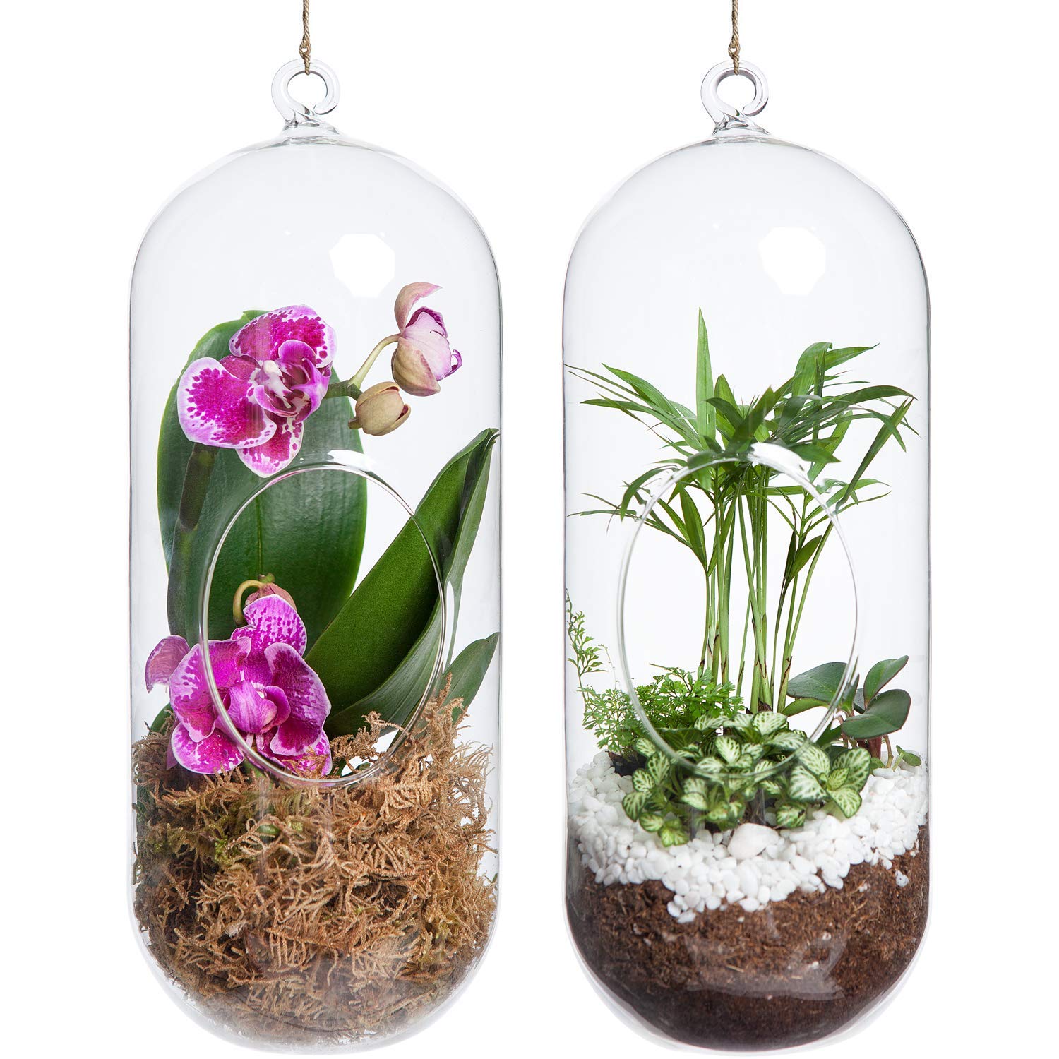 MAGICMOON Crystal Glass Hanging Planter Capsule Shape Terrarium, Indoor Gardening, Hanging Glass Capsule Set (Set of 2) (2 Piece 7" Capsule) (B08X777R6G) Amazon Price History, Amazon Price Tracker