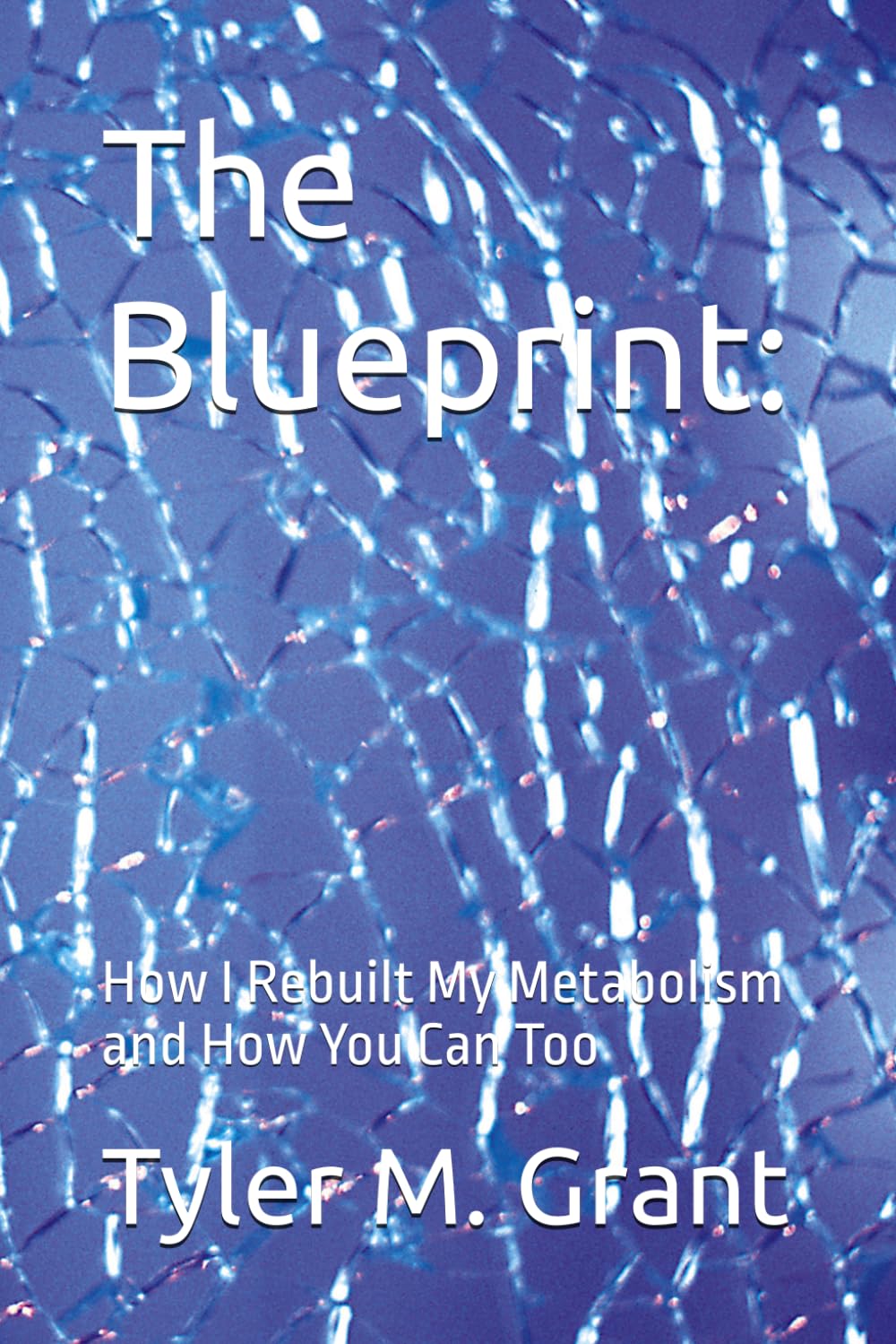 The Blueprint:: How I Rebuilt My Metabolism and How You Can Too