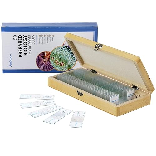 Miniatura 2 de Microscopio AmScope PS50 preparado portaobjetos de set para Biológica Básica Ciencia Educación, 50 Diapositivas, incluye carcasa ajustable de madera