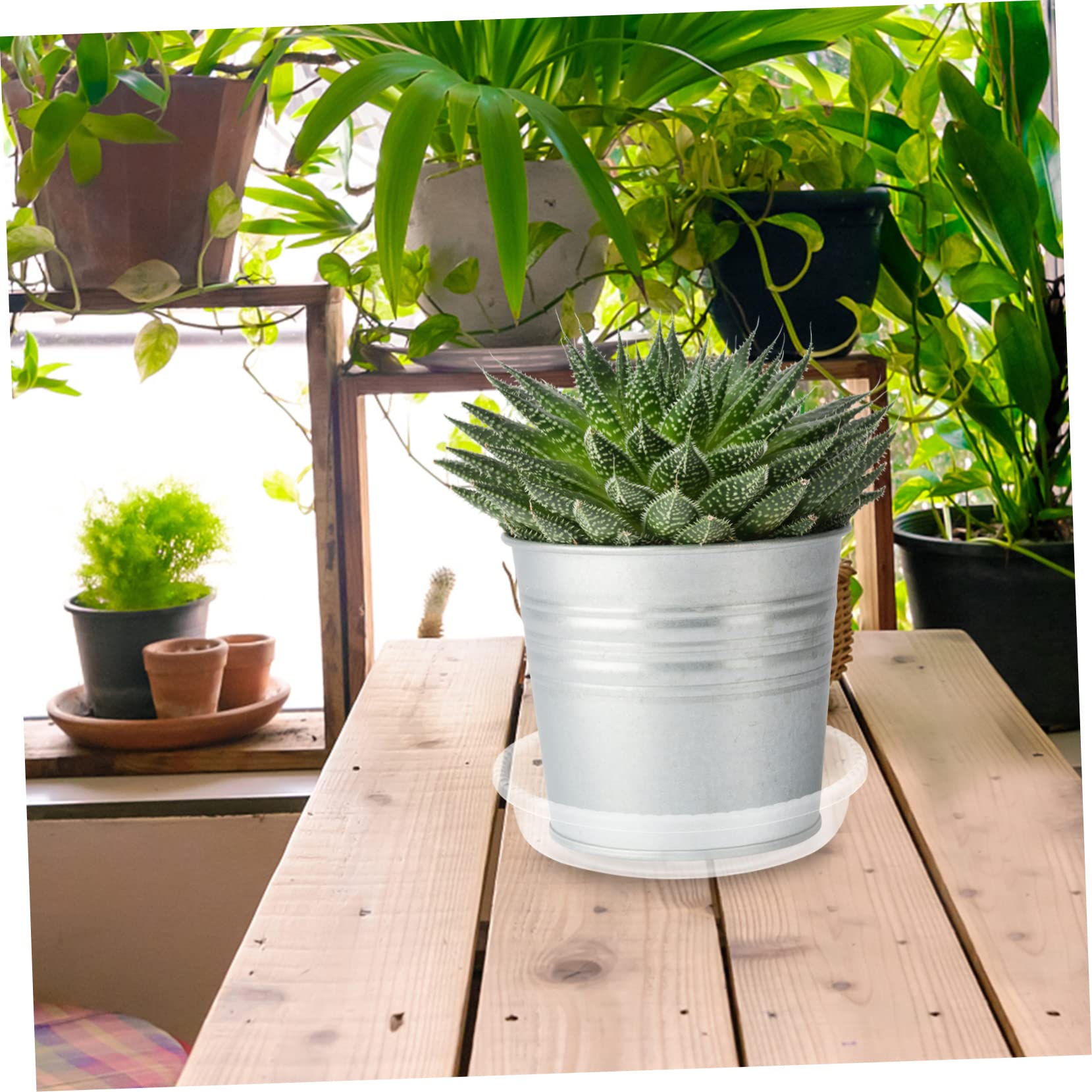 POPETPOP 30stücke Runde Blumentopfschalen Blumentopf-bodenschalen Topfpflanzenschalen Wasser Trays Für Blumentöpfe Und Bonsais