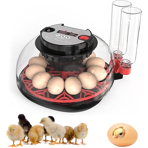 Incubators for Hatching Eggs, 12 Egg Incubator with Automatic Egg Turning and Humidity Control, 360° View Incubadora De Huevos De Gallina, Egg Candler, Incubator for Chicken Eggs, Ducks, Goose, Quail
