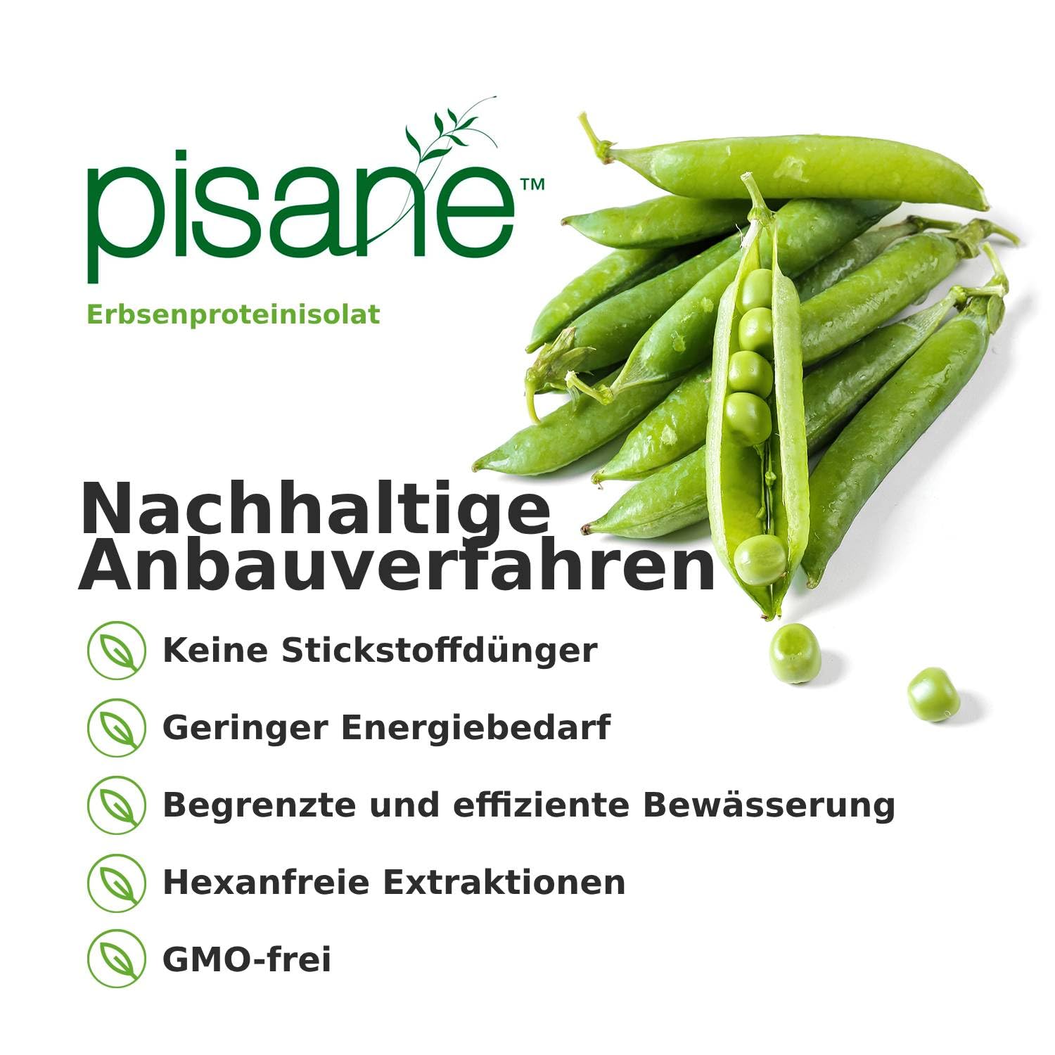 Weider Vegan Protein (750g) Brownie-Geschmack, 21g Protein/Dosis | 100% pflanzliches Protein aus Erbse (Pisane) + Reis, mit Vitamin B12, Akazienfaser, Stevia, Zuckerfrei, Glutenfrei