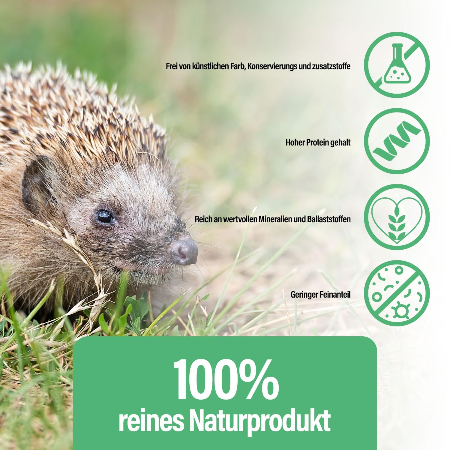Mączniaki suszone, 1 kg, 6,5 l, naturalna karma dla dzikich ptaków przez cały rok, karma dla ryb, staw, wysoka zawartość białka, kwasy tłuszczowe Omega-3, neutralny zapach, niska zawartość