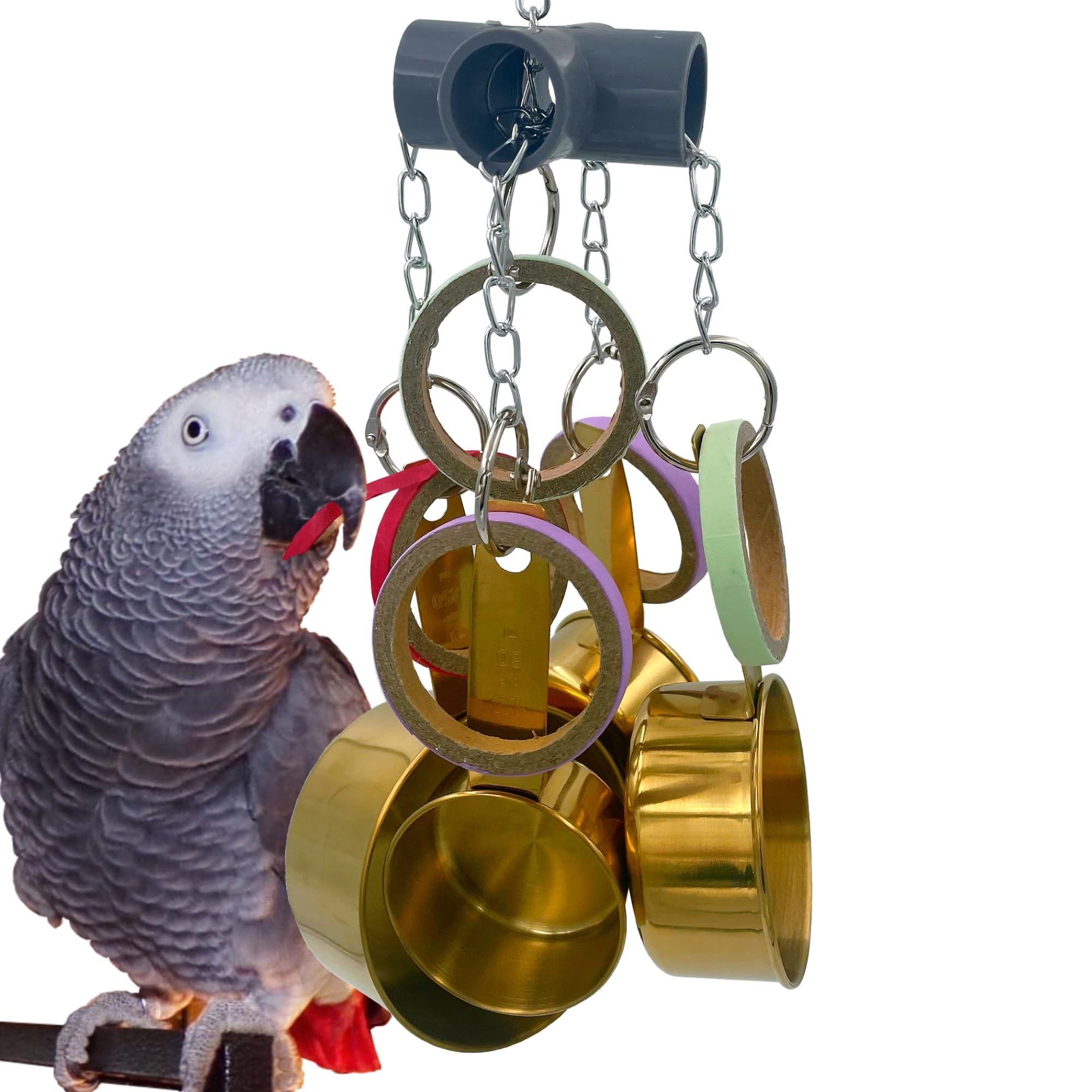 Parrot Toys for Medium & Large Birds - Stainless Steel Golden Chew Cups, Foraging Cardboard Bagel - Cockatoo, African Grey, Amazon, Mini Macaw, Eclectus - Durable Bird Enrichment Toys