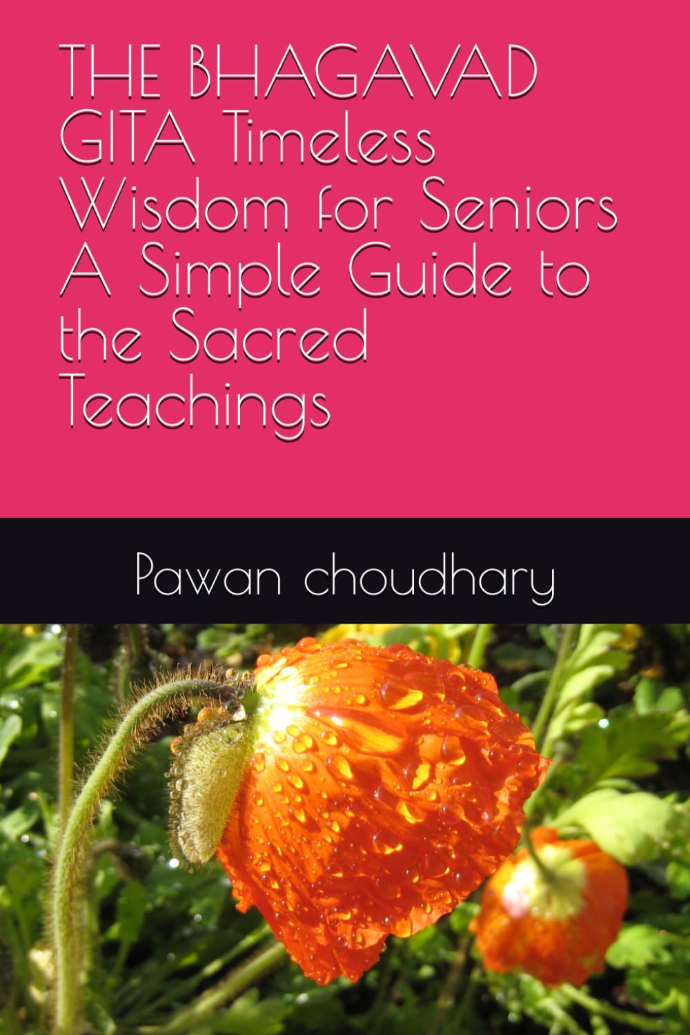 THE BHAGAVAD GITA Timeless Wisdom for Seniors A Simple Guide to the Sacred Teachings