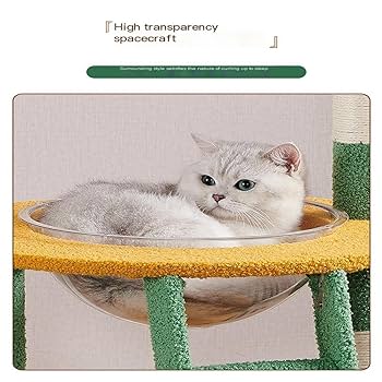 ★⭐︎キャットツリー ねこクライミングフレーム 小型猫一体型 Amazon | キャットタワー 屋内小型～中型猫用猫クライミング