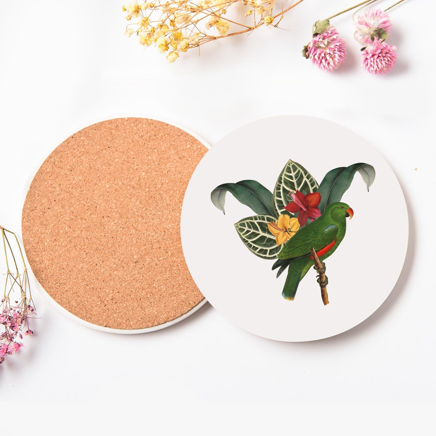 Sottobicchiere rotondo in ceramica – Pappagallo tropicale esotico giungla uccello colore – Set di 6 (108 x 108 mm)