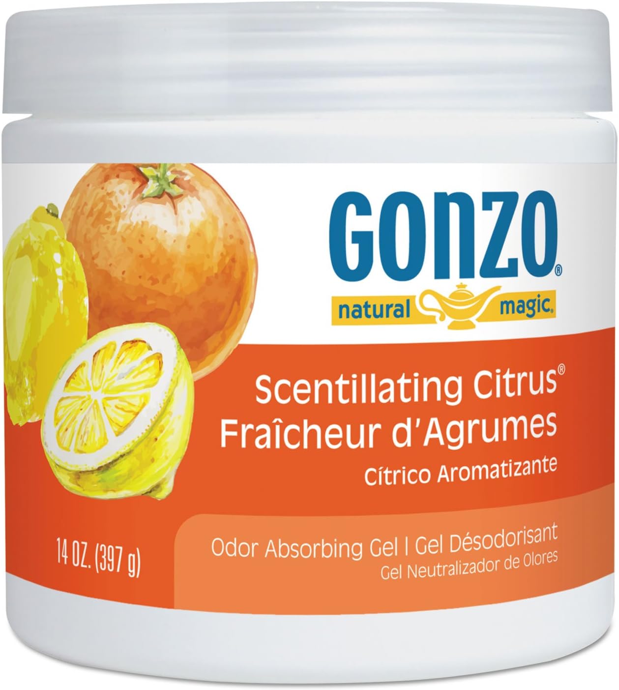 Natural Magic 4119D Odor Absorbing Gel, Scentillating