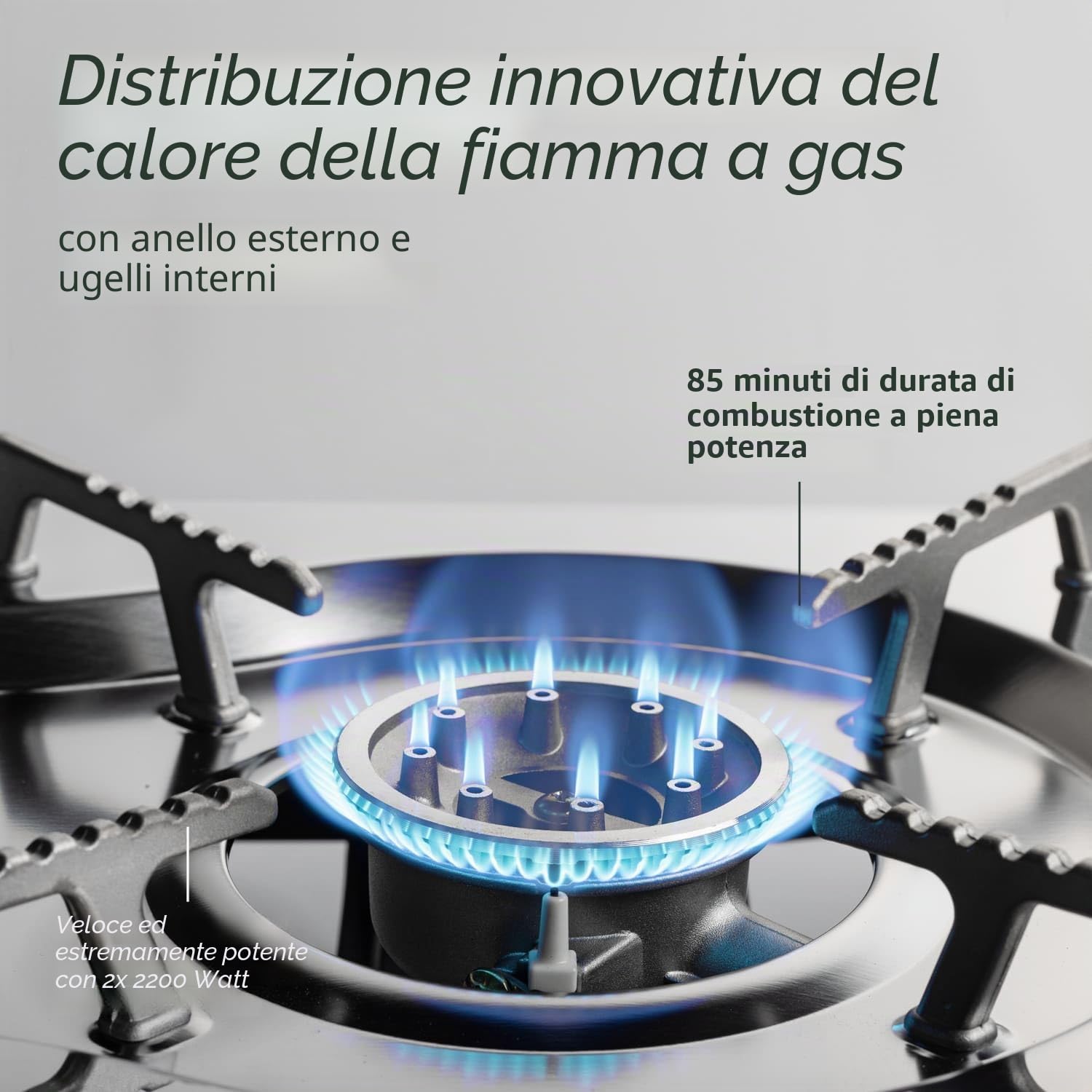Skandika Fornello a gas Brann | robusto fornello da campeggio per cartucce a gas, valigetta, acciaio inox, regolazione continua, accenditore piezoelettrico (2 fiamme in un set)